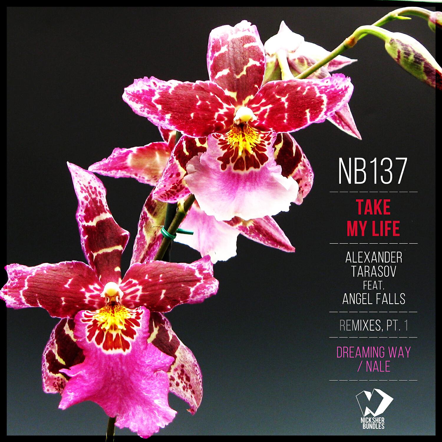 Релиз Take My Life: Remixes, Pt. 1