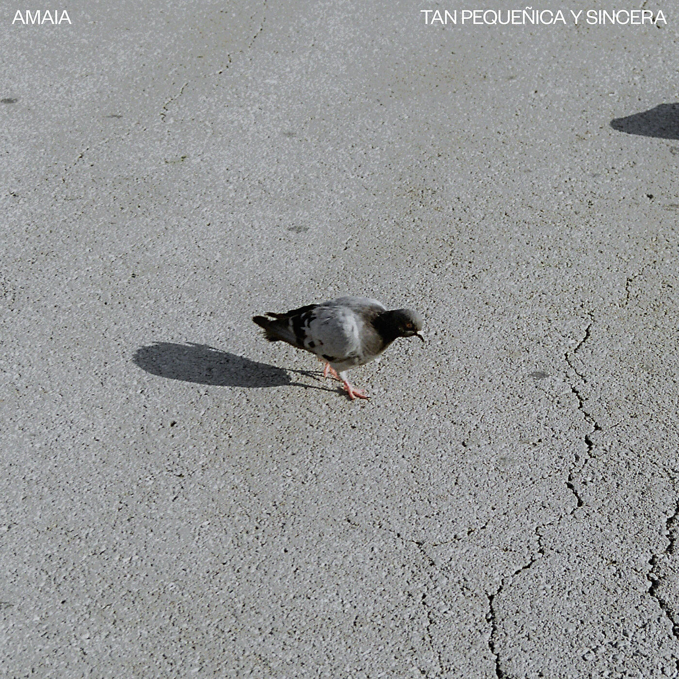Релиз Tan Pequeñica Y Sincera