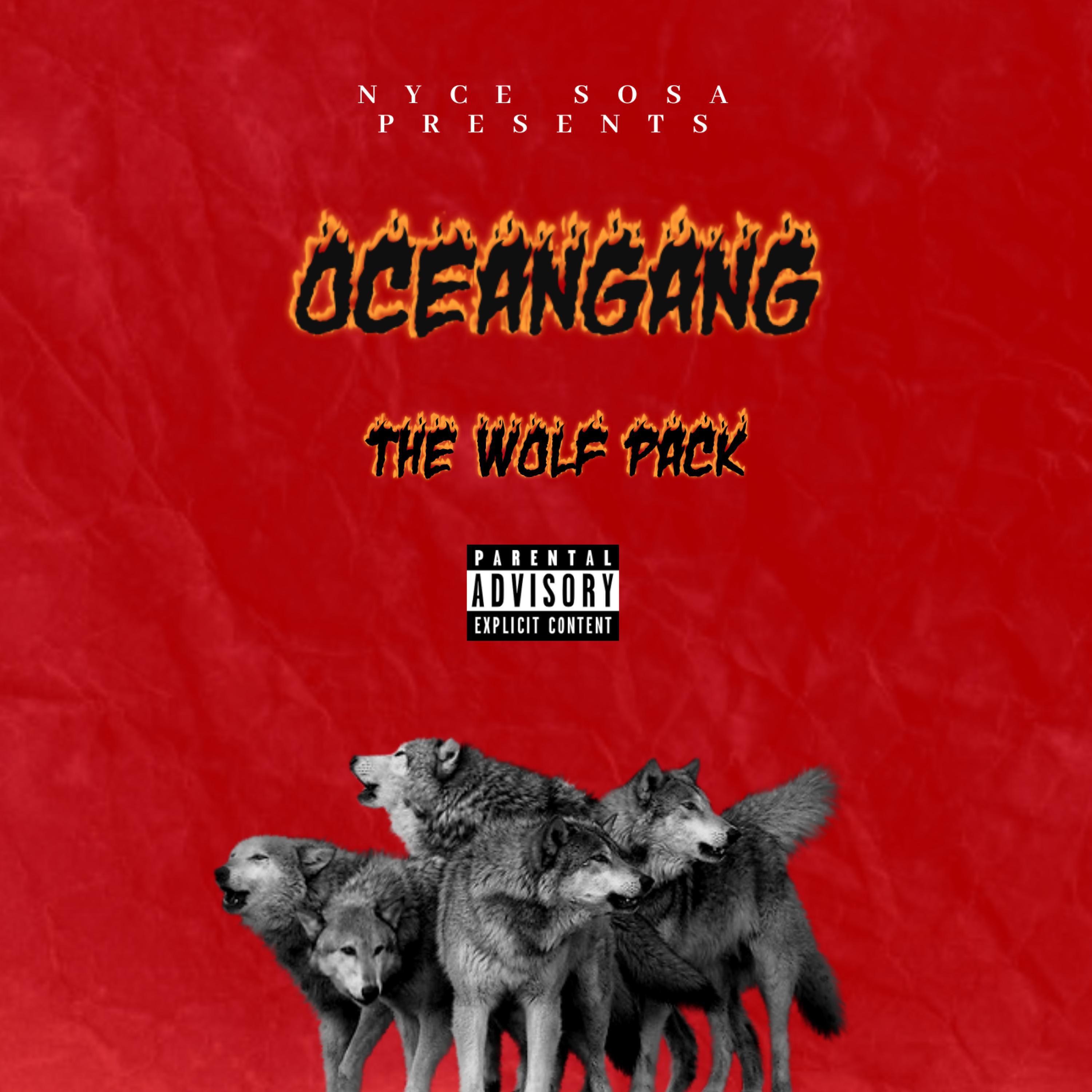 Релиз The Wolf Pack