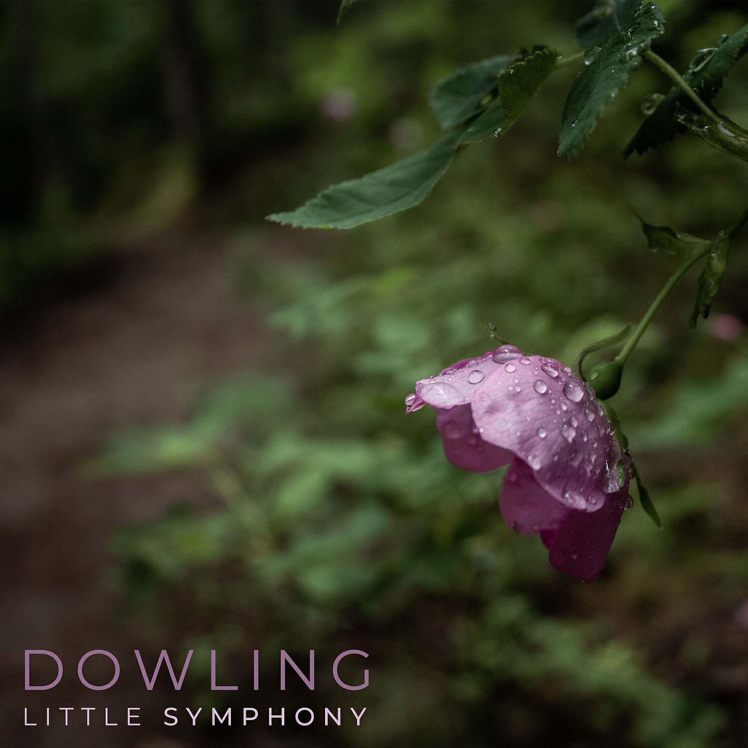 Релиз Dowling