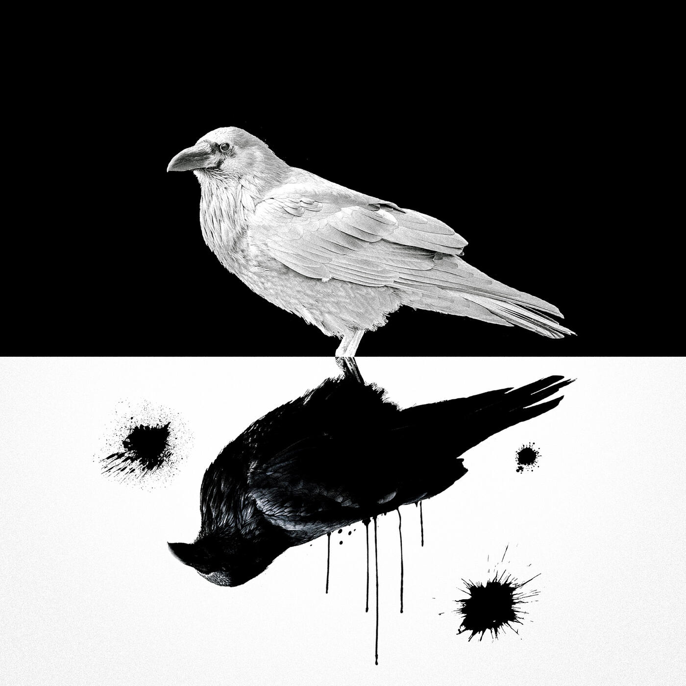 Релиз Noir Pack
