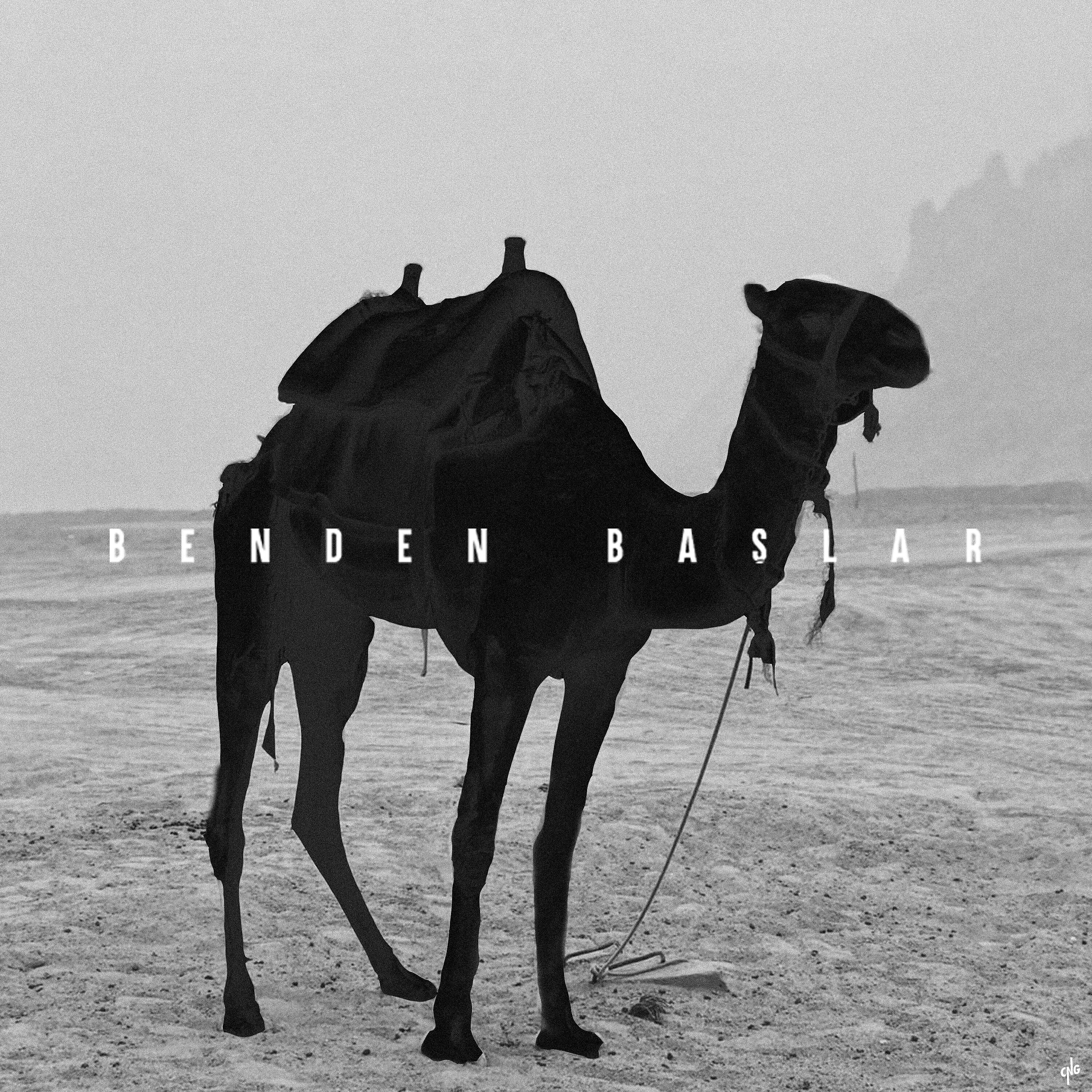 Релиз Benden Başlar