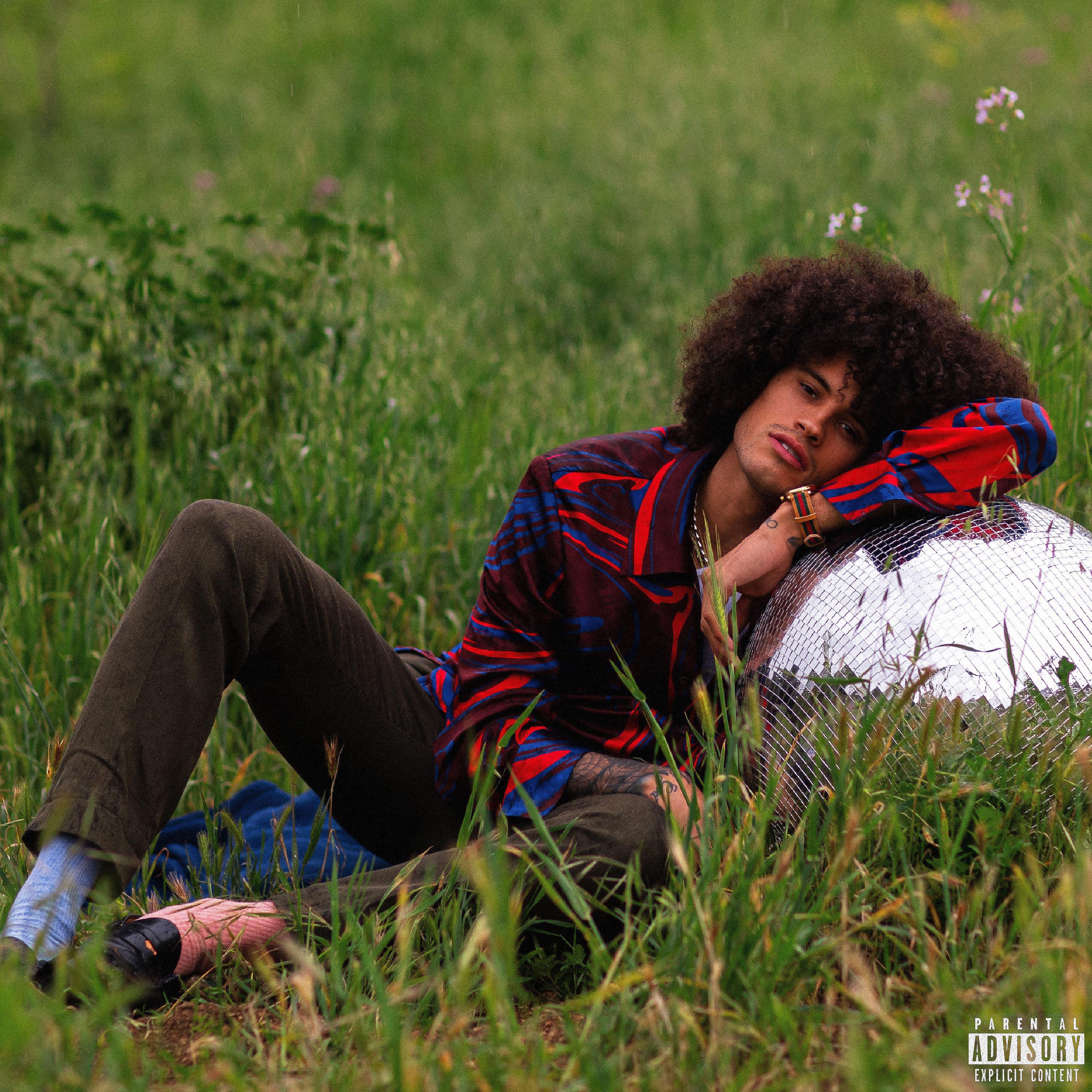 Релиз Enjoy the Disco
