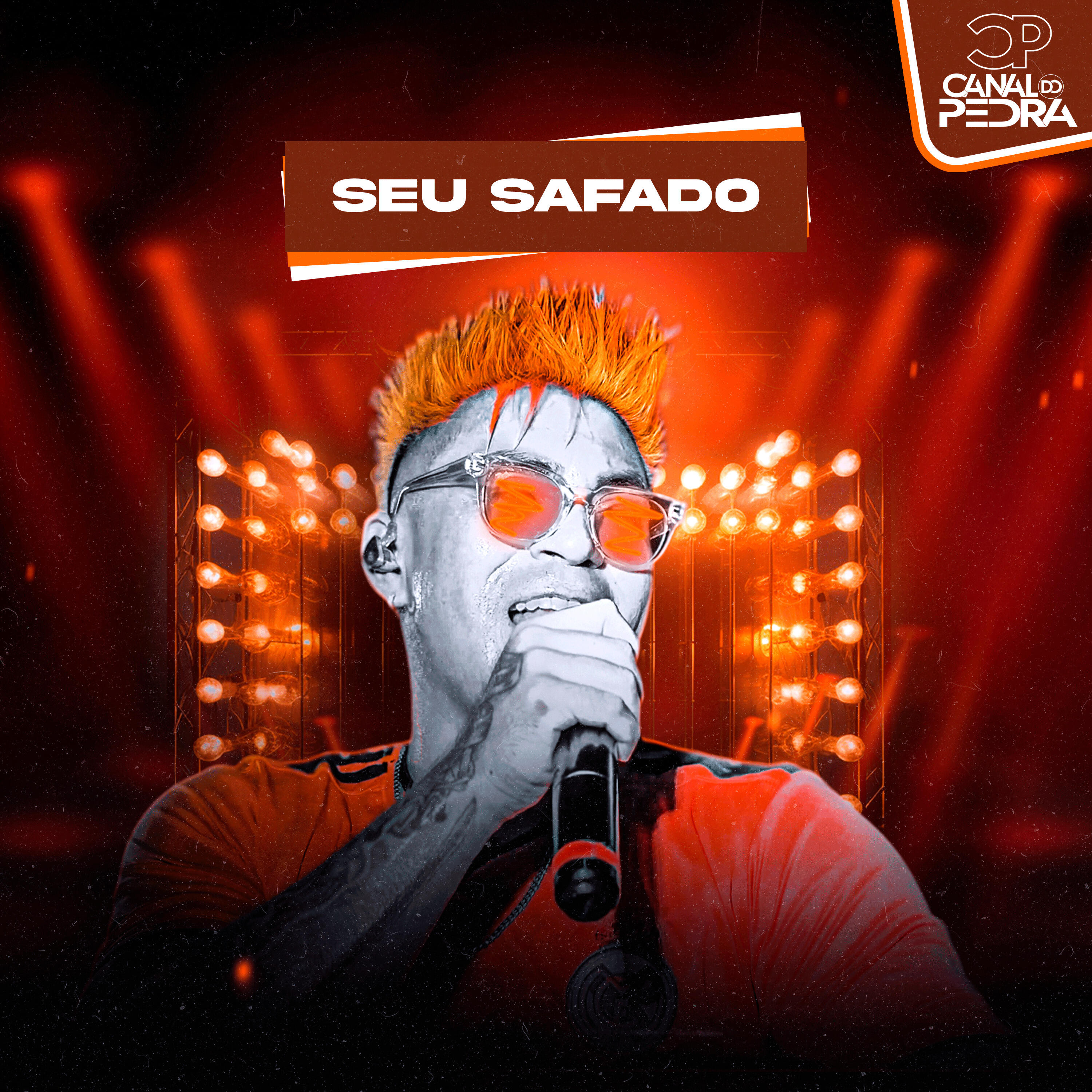 Релиз Seu Safado