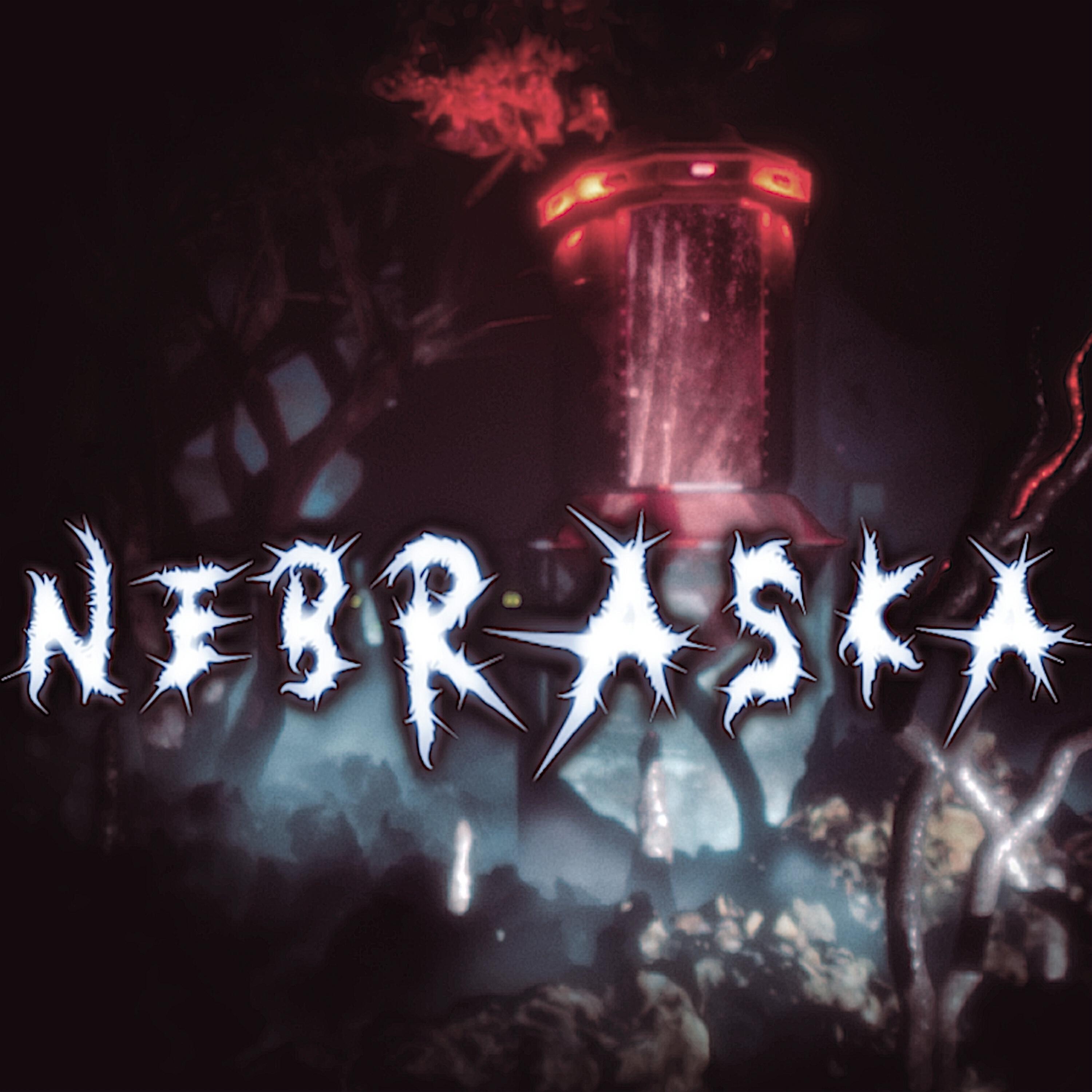 Релиз Nebraska