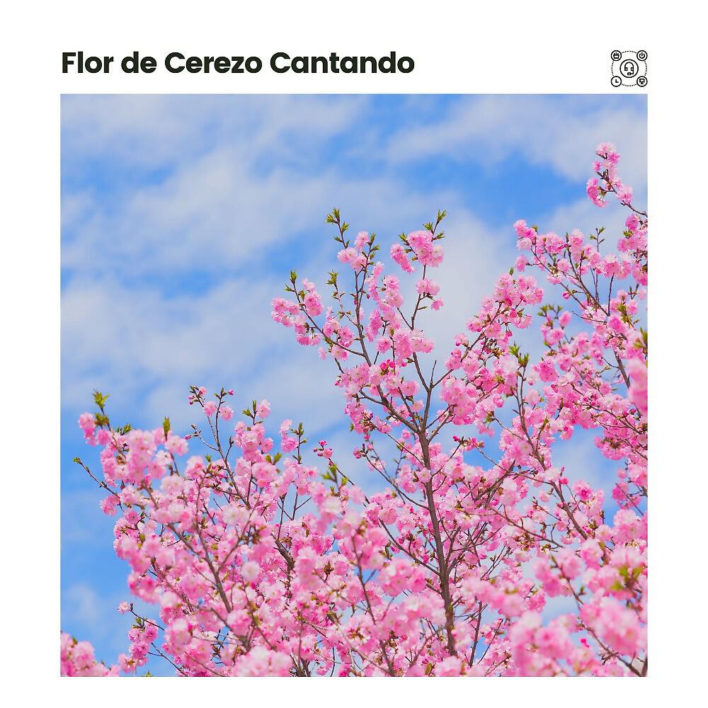 Релиз Flor de Cerezo Cantando