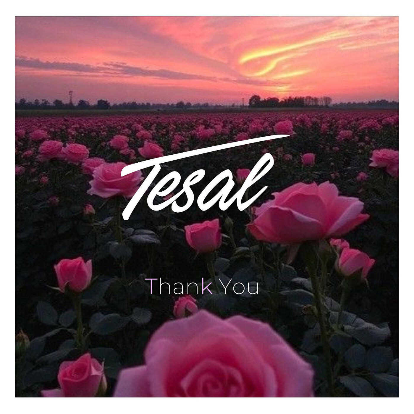 Tesal