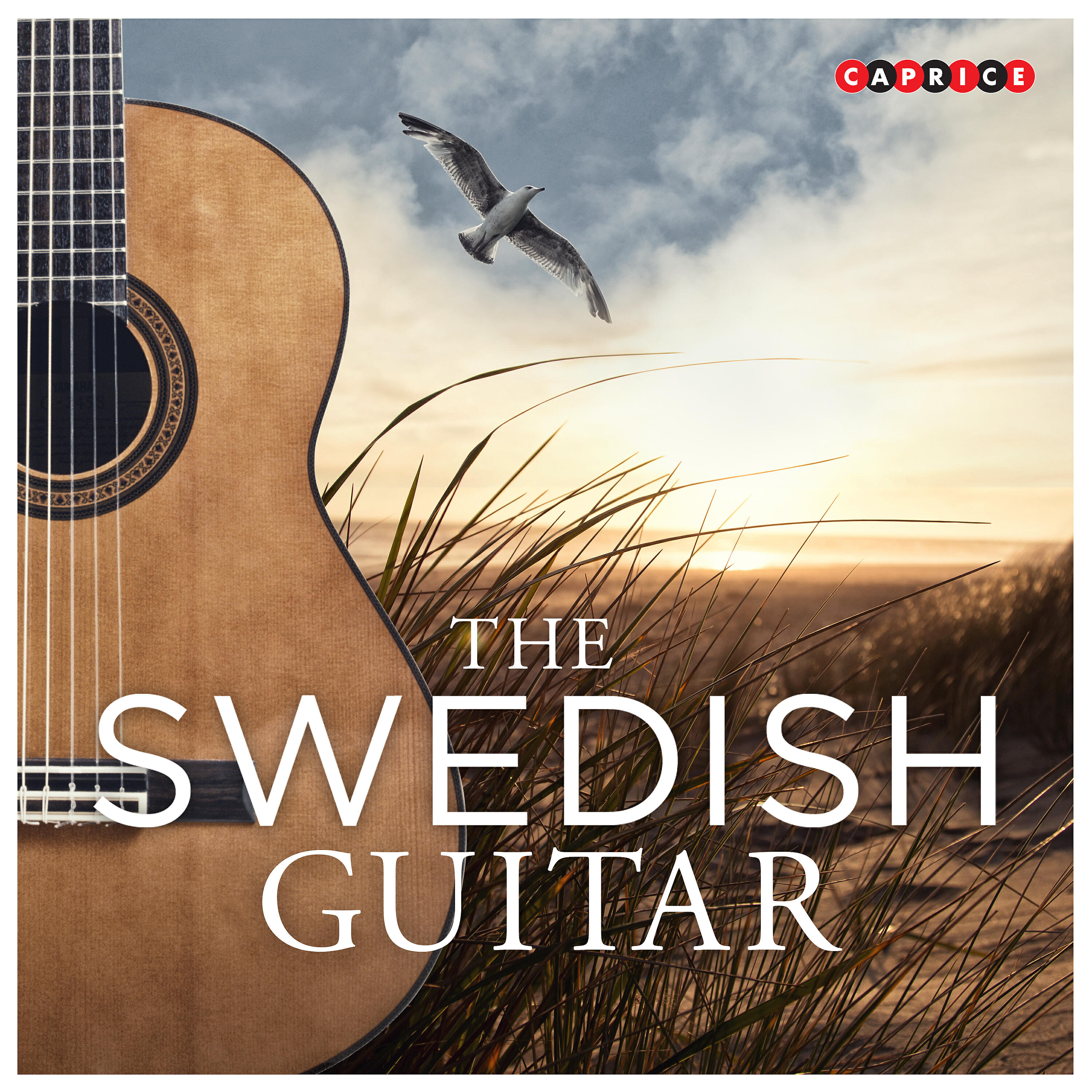 Релиз The Swedish Guitar