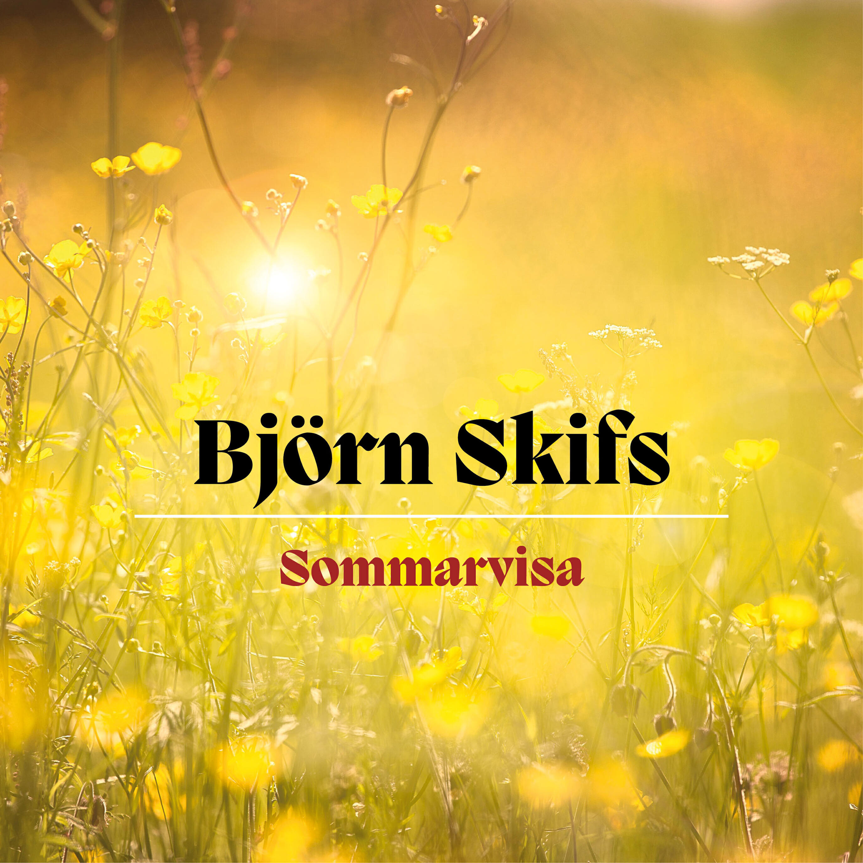 Релиз Sommarvisa