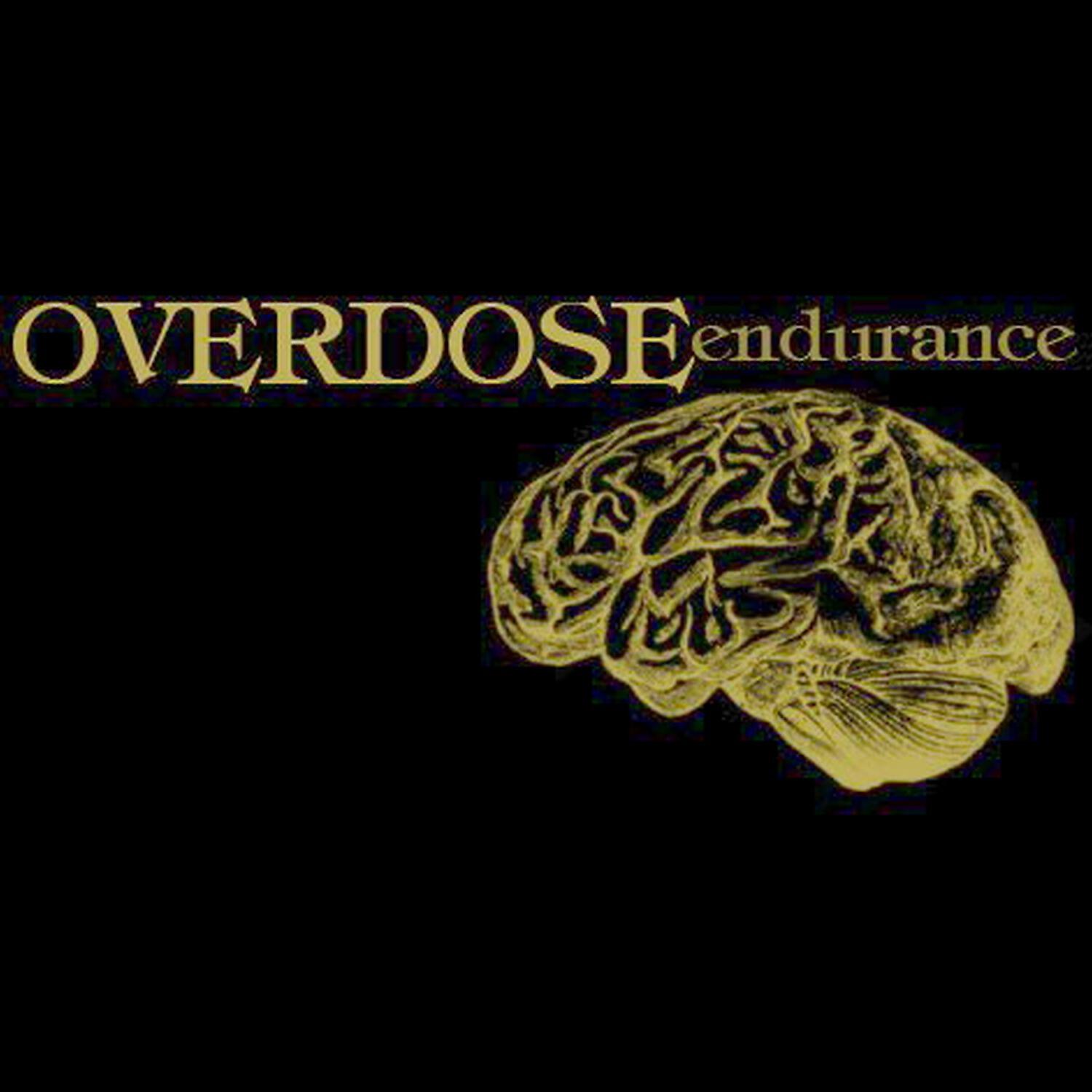 Релиз Endurance