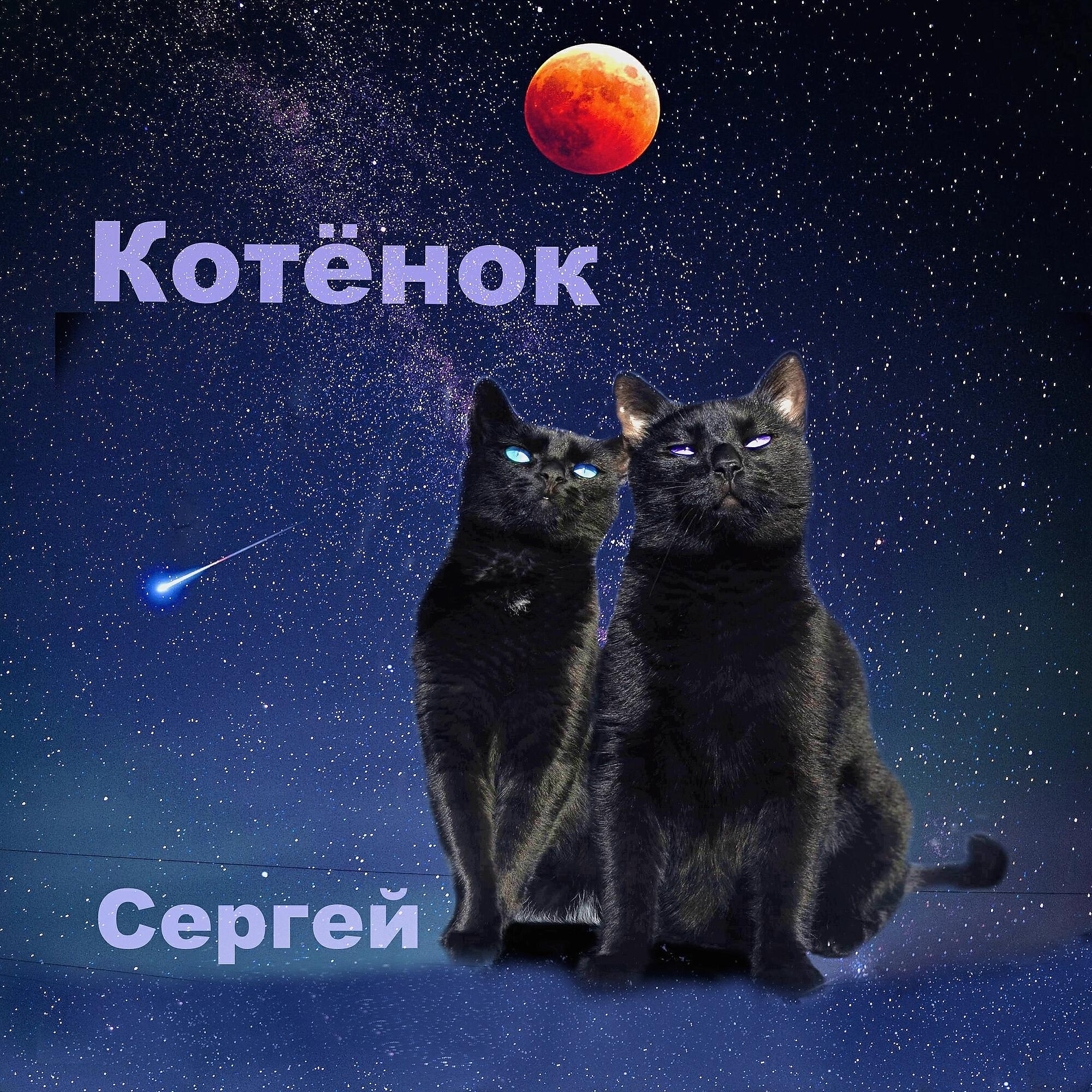 Постер альбома Котёнок
