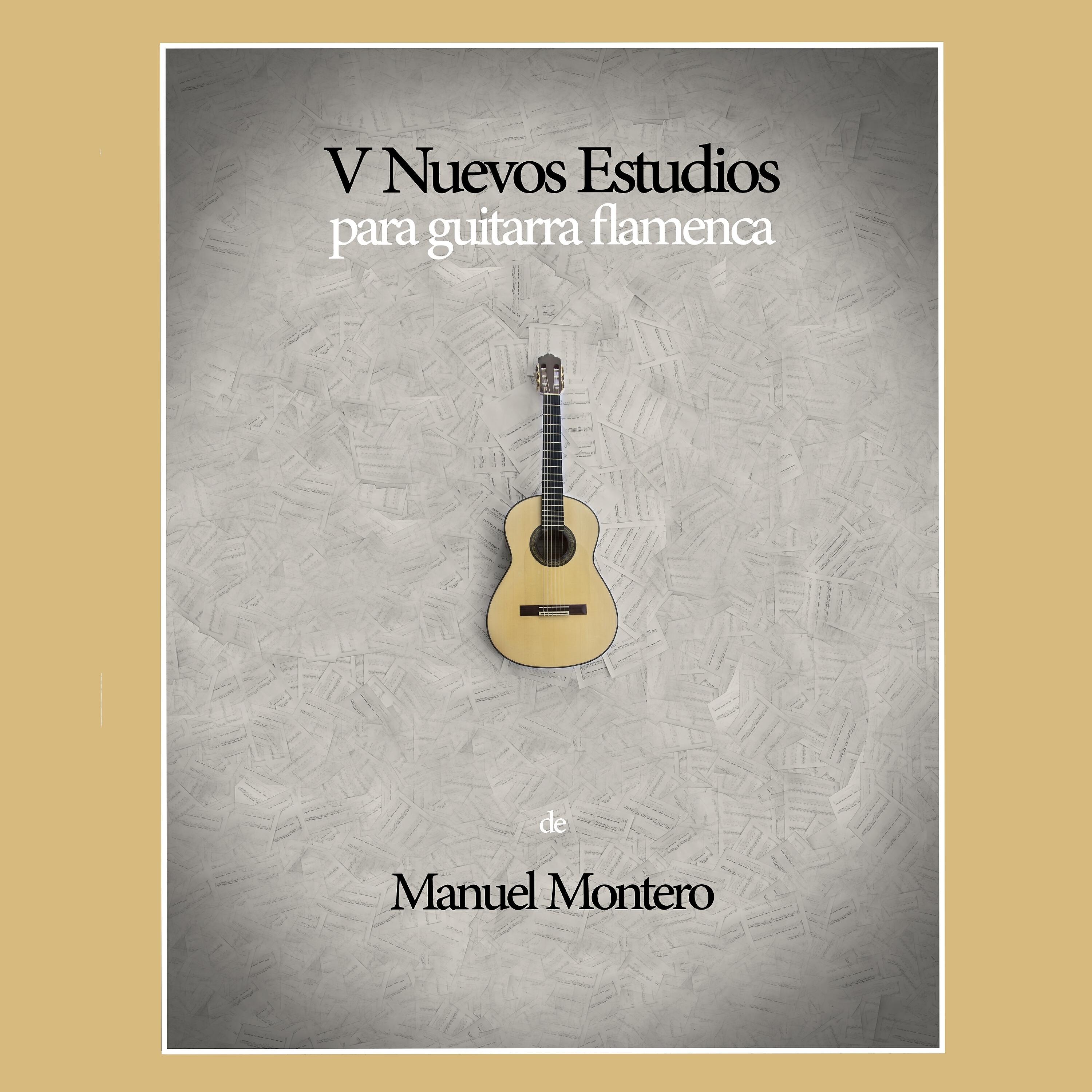 Релиз V Nuevos Estudios para Guitarra Flamenca