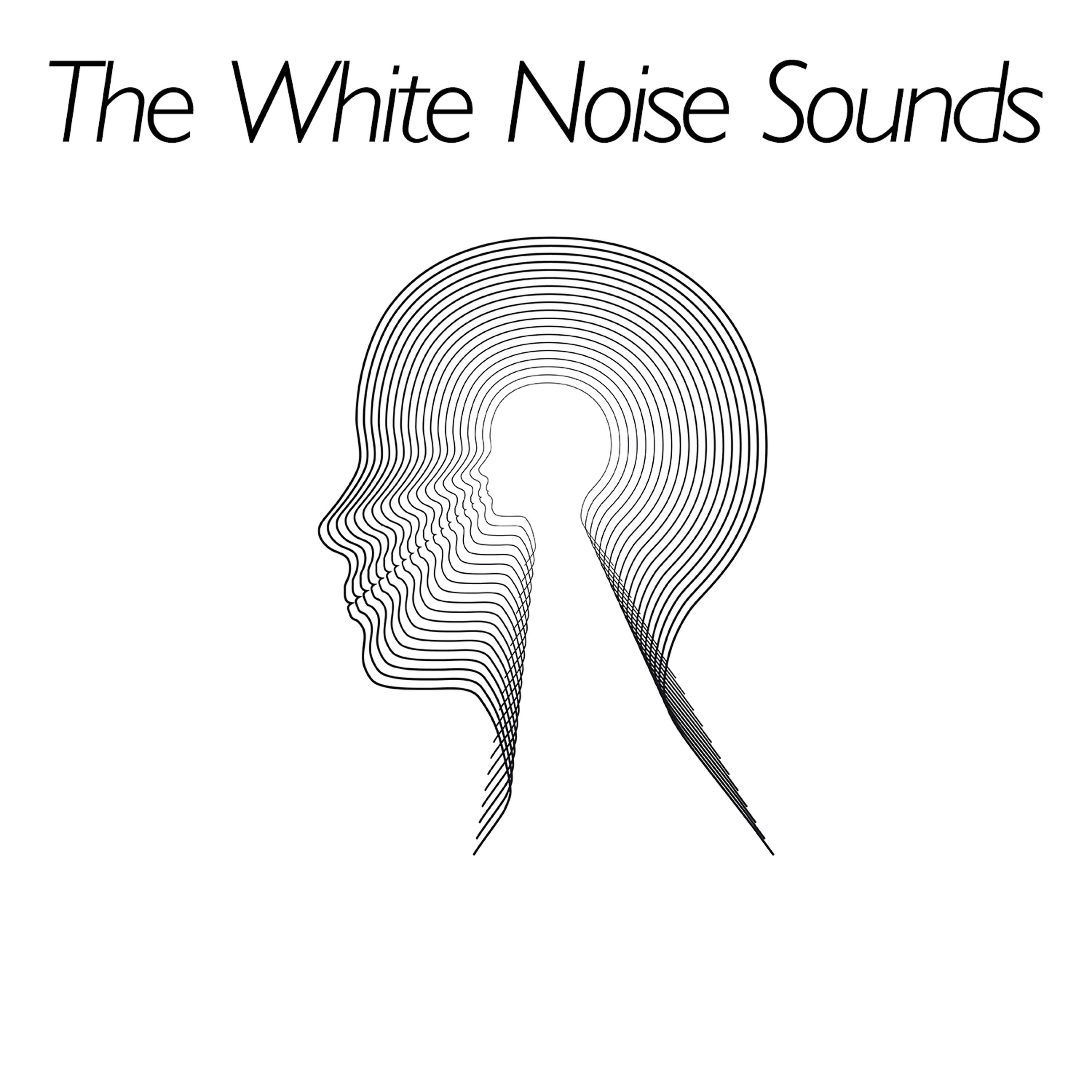 Релиз The White Noise Sounds