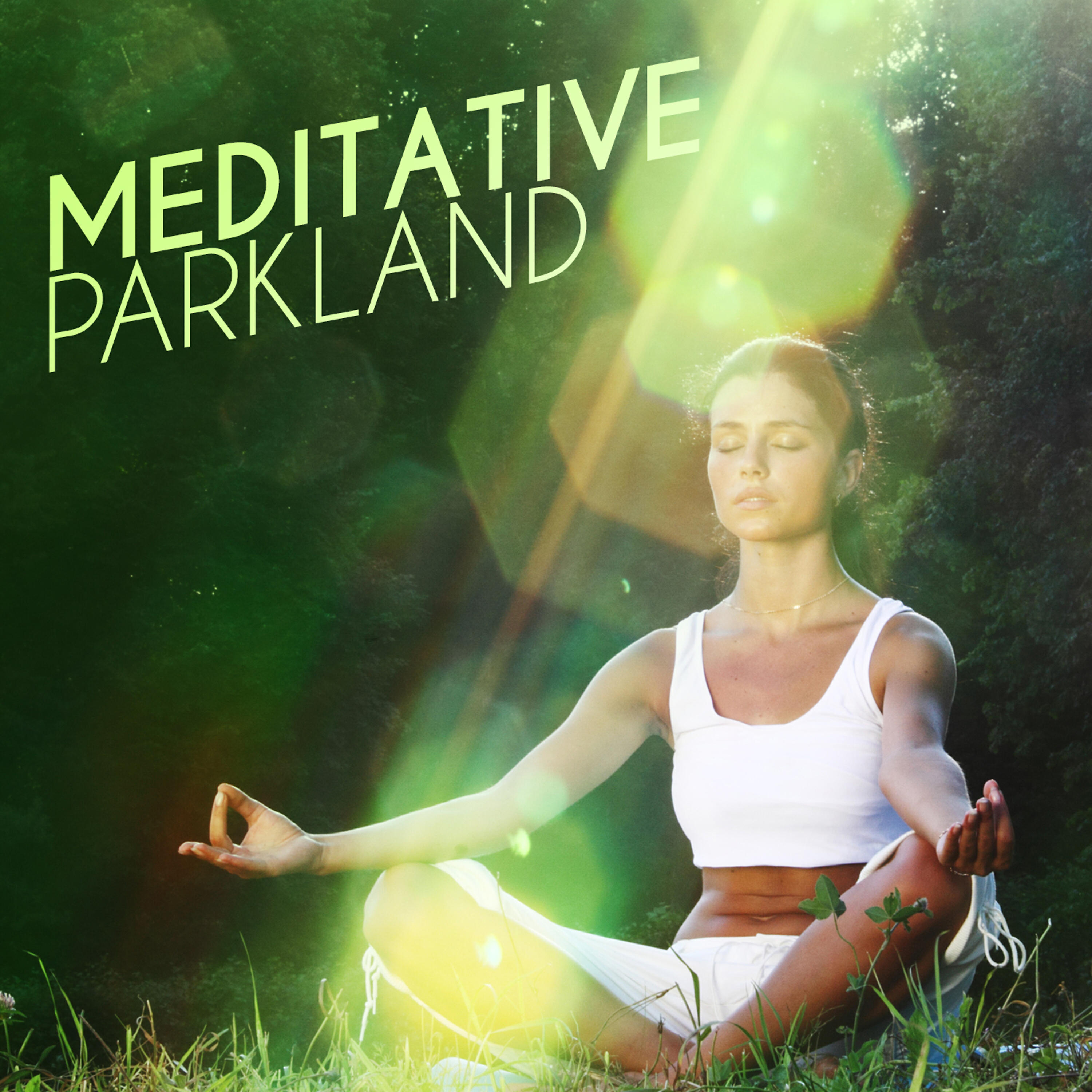 Релиз Meditative Parkland