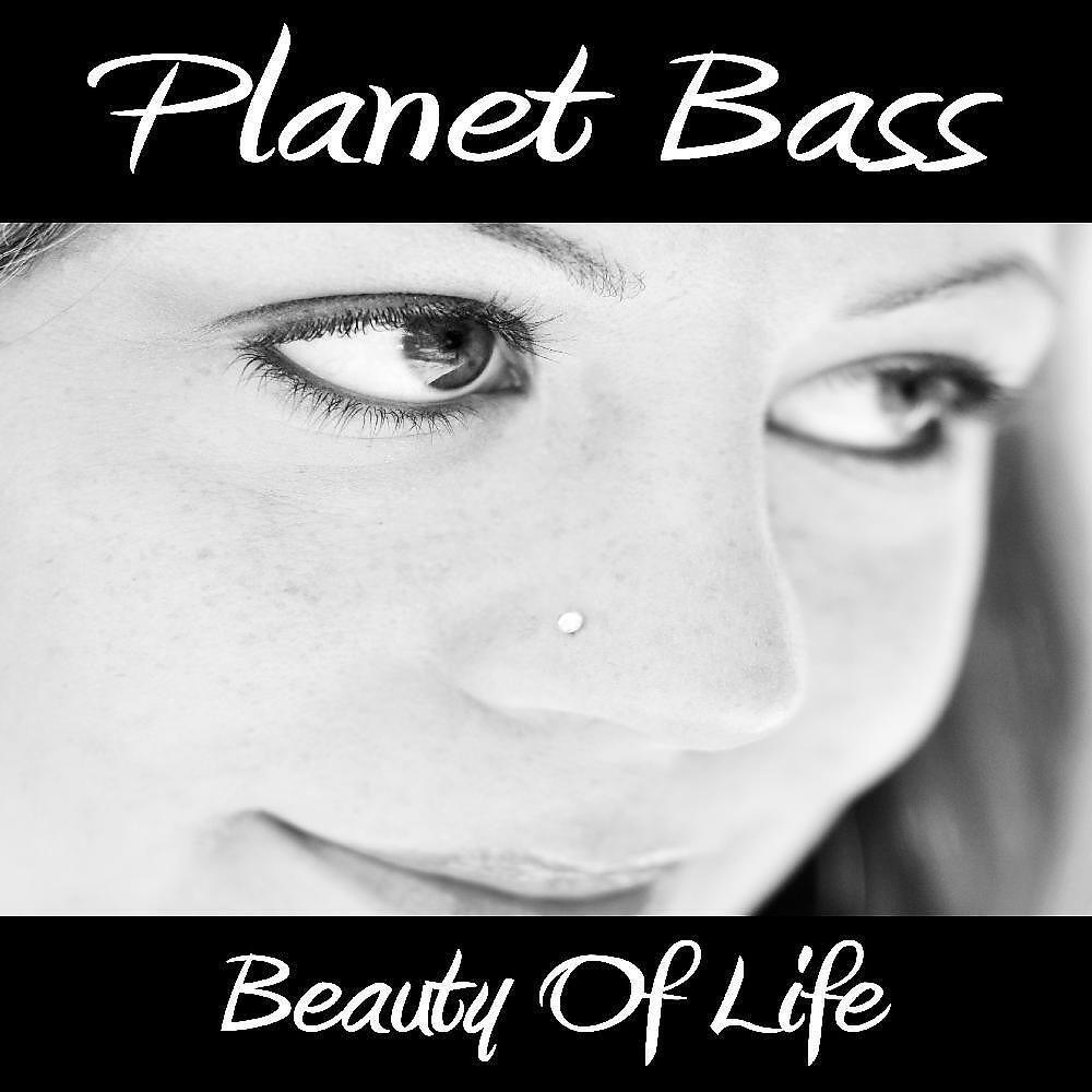 Релиз Beauty of Life