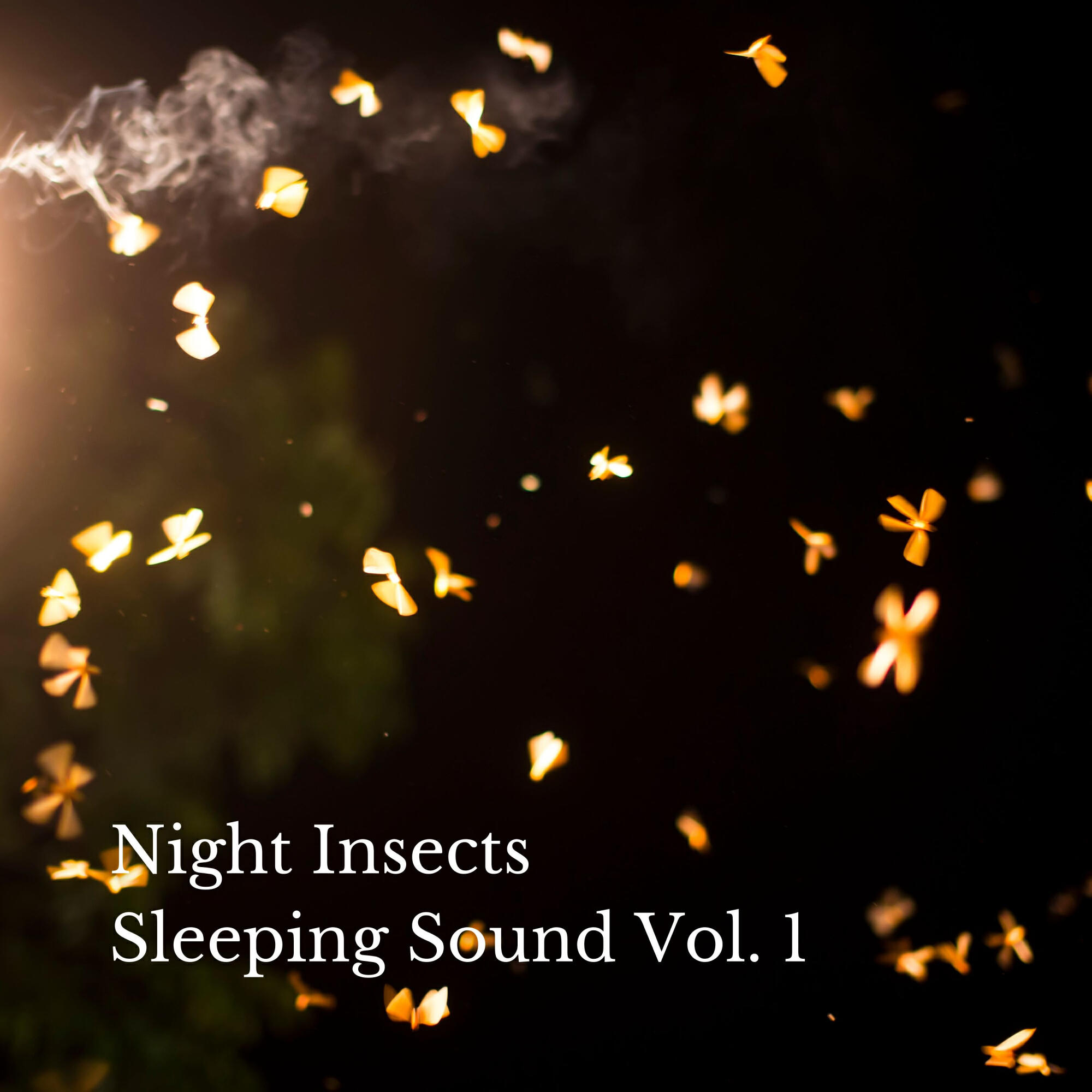 Релиз Night Insects Sleeping Sound Vol. 1