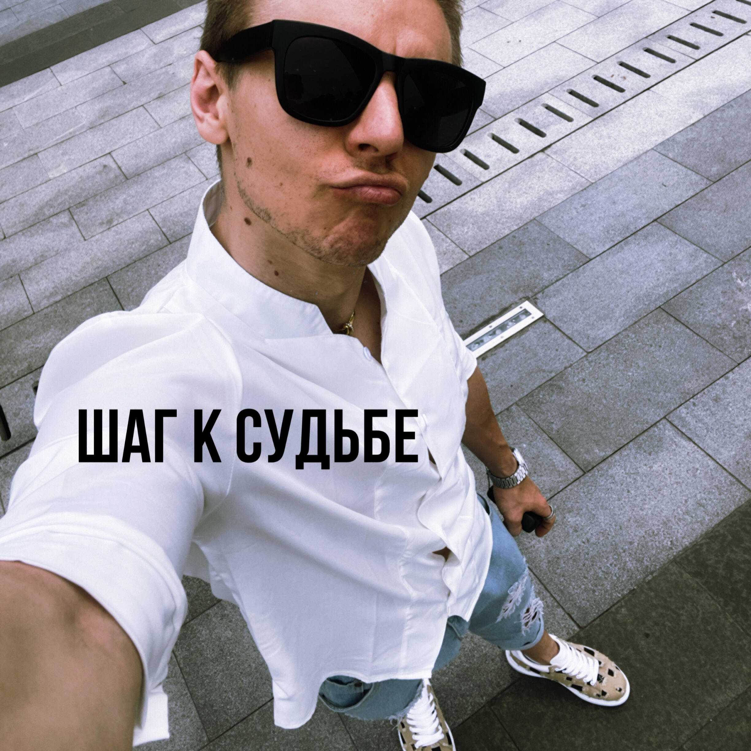 Релиз Шаг к судьбе