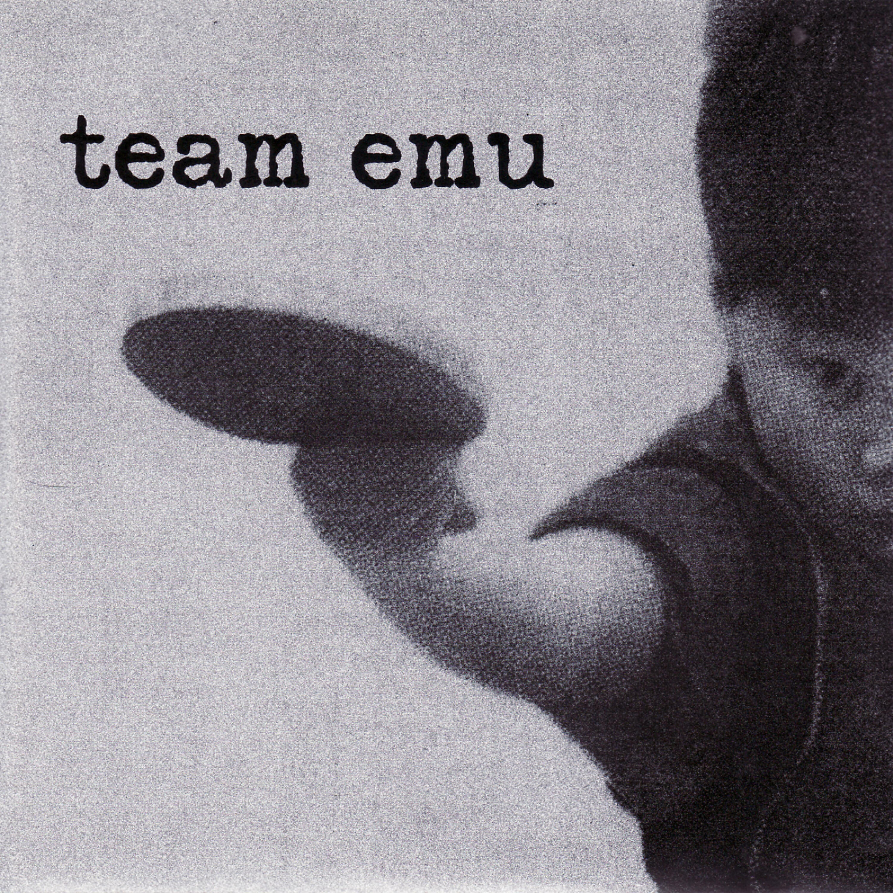 Релиз Team Emu