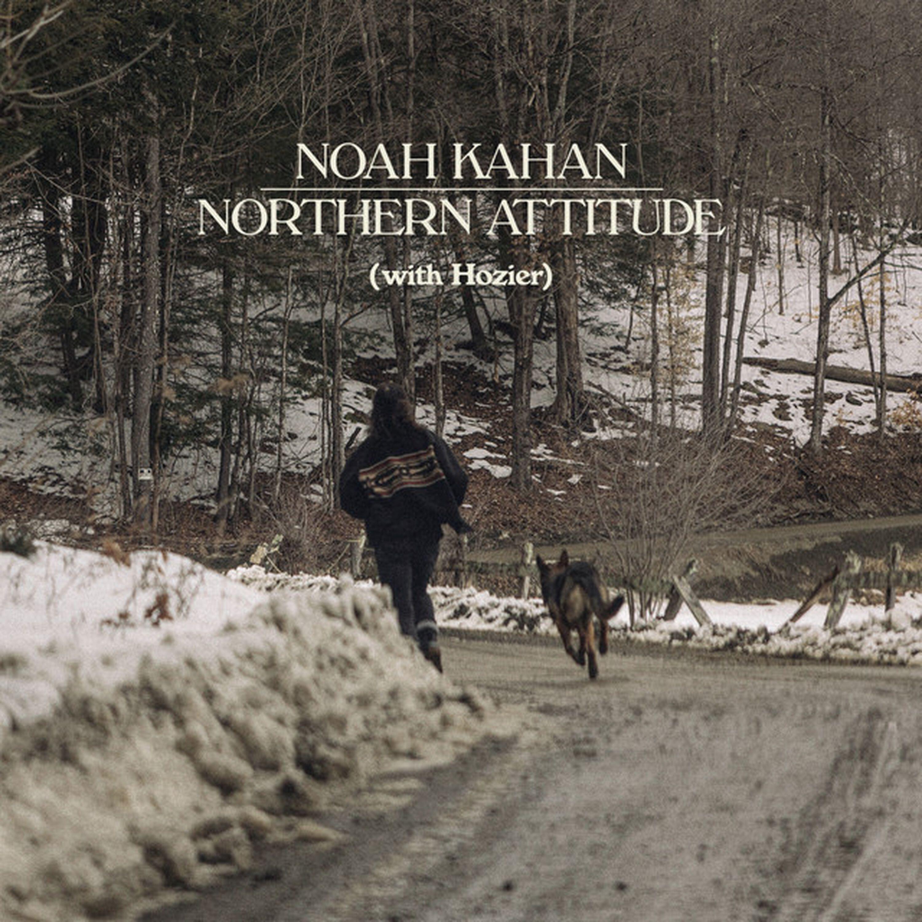 Релиз Northern Attitude