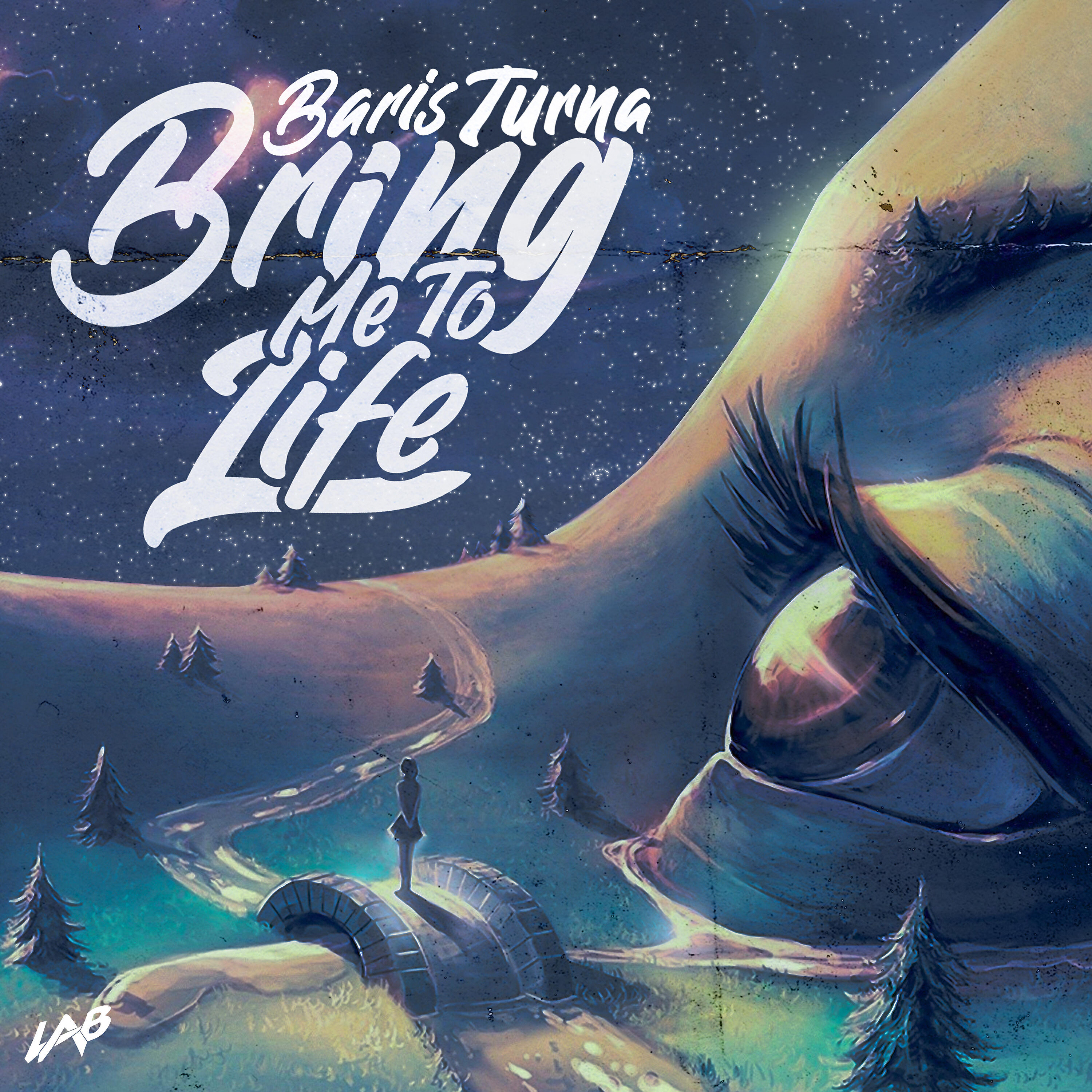 Постер альбома Bring Me to Life