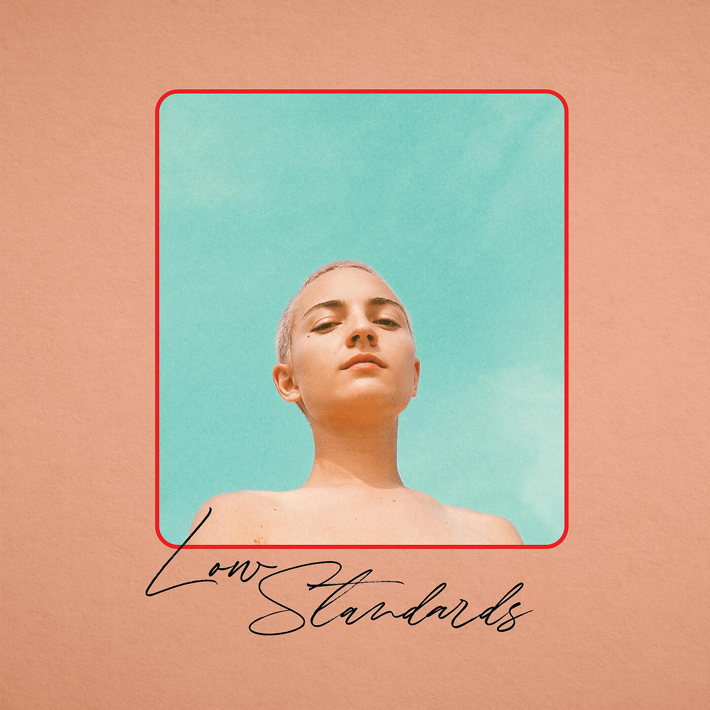 Релиз Low Standards