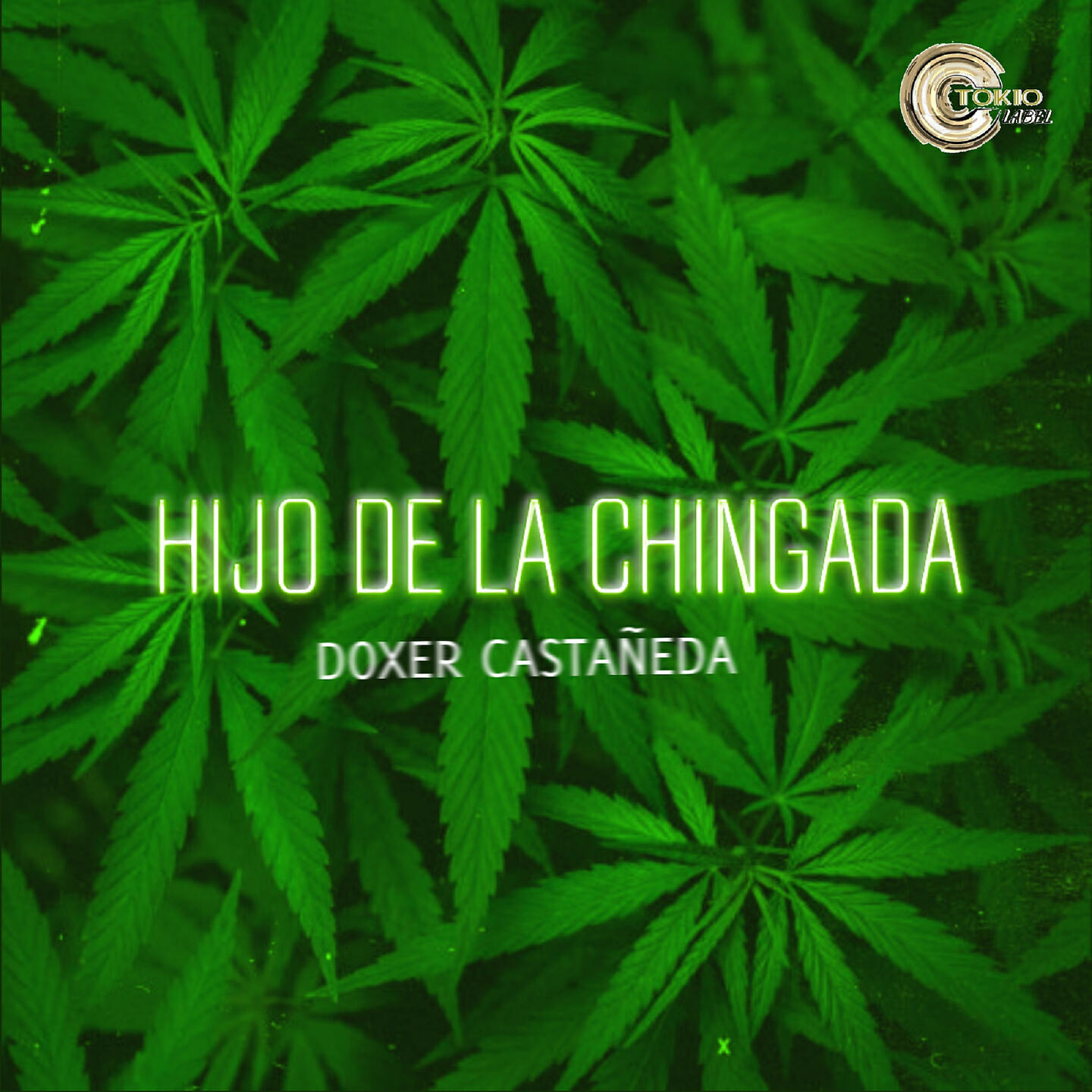 Doxer Castañeda