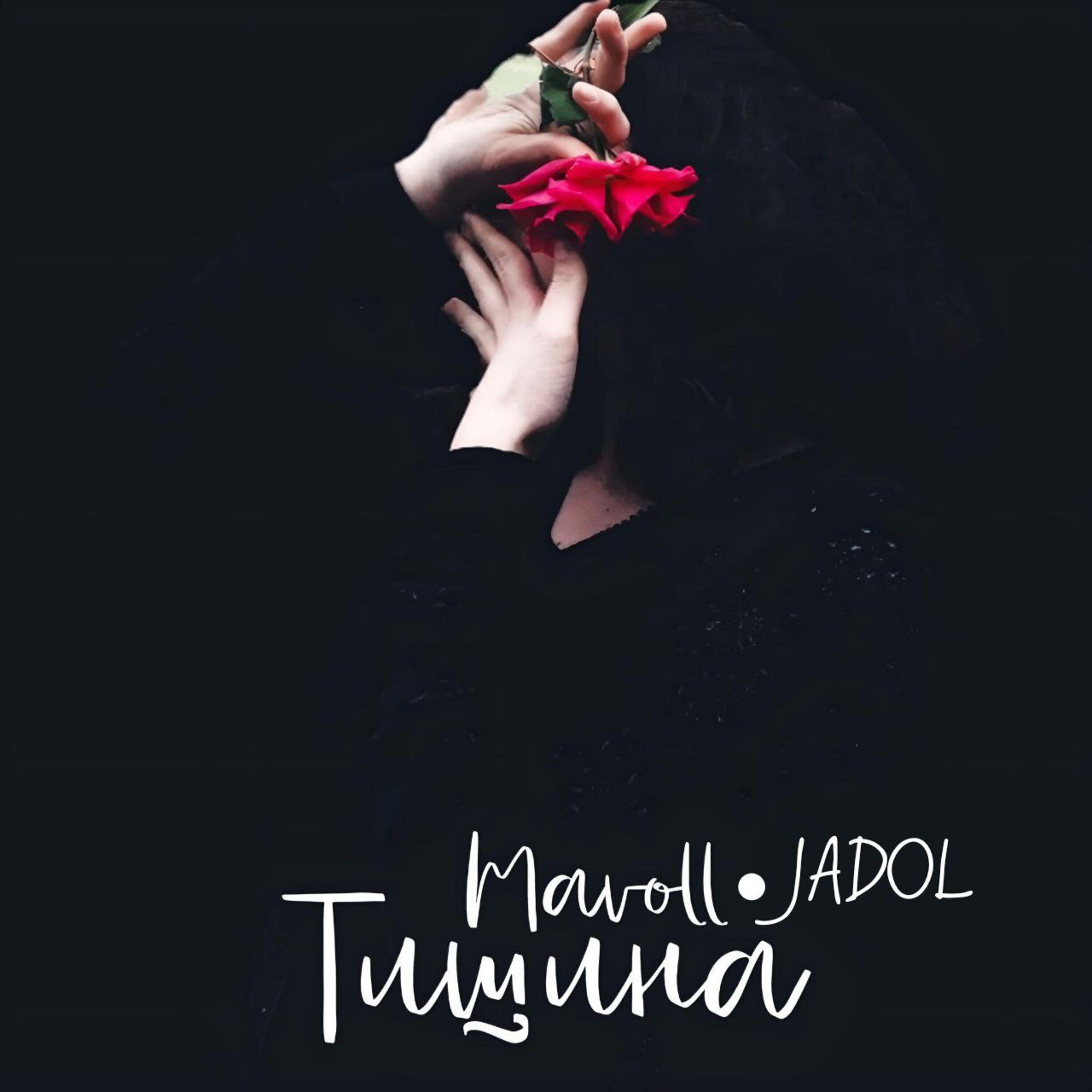 Релиз Тишина (feat. Mavoll)