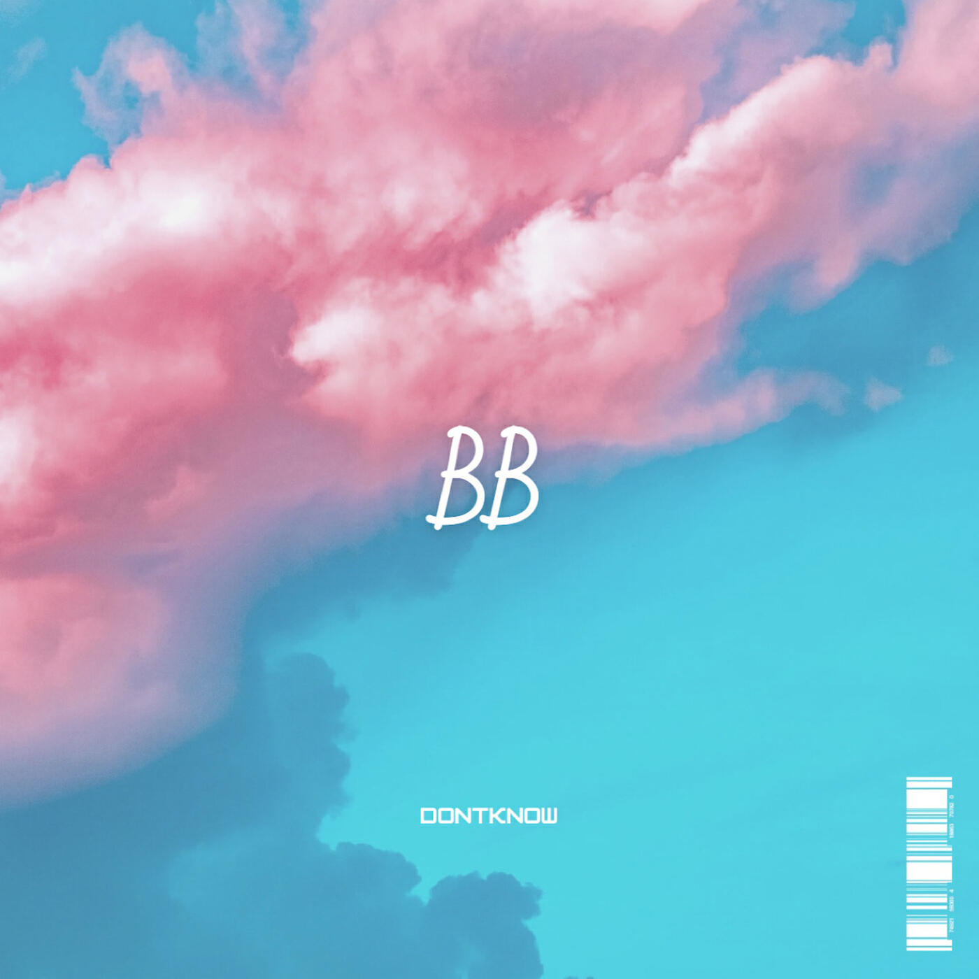 Релиз Bb