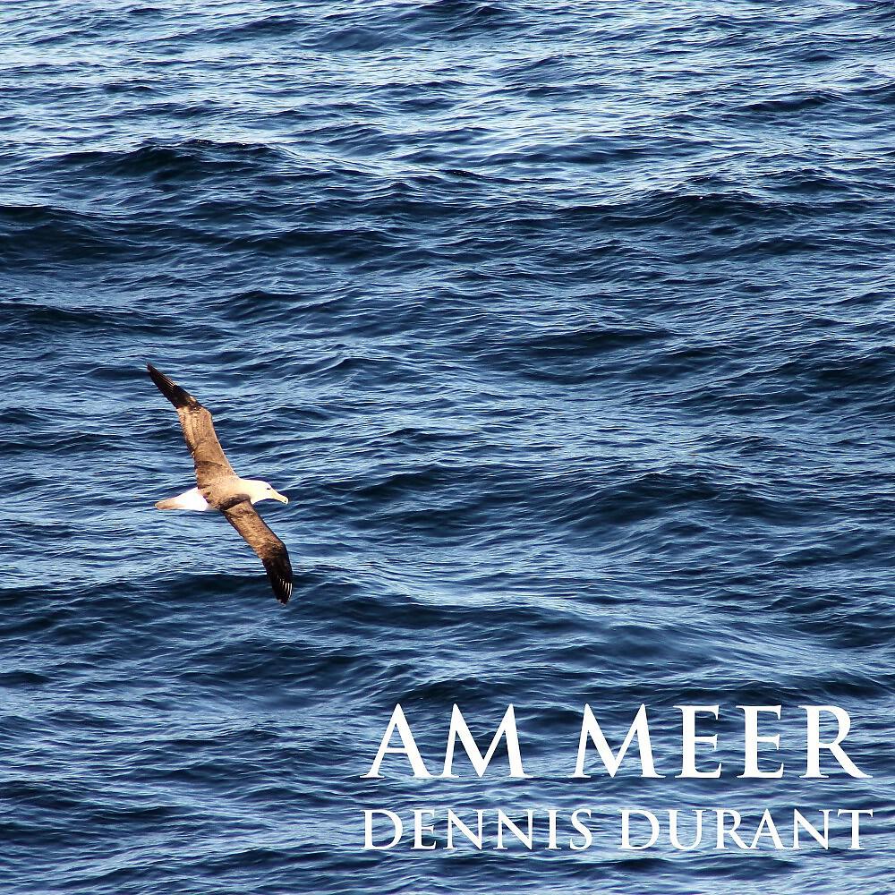 Релиз Am Meer