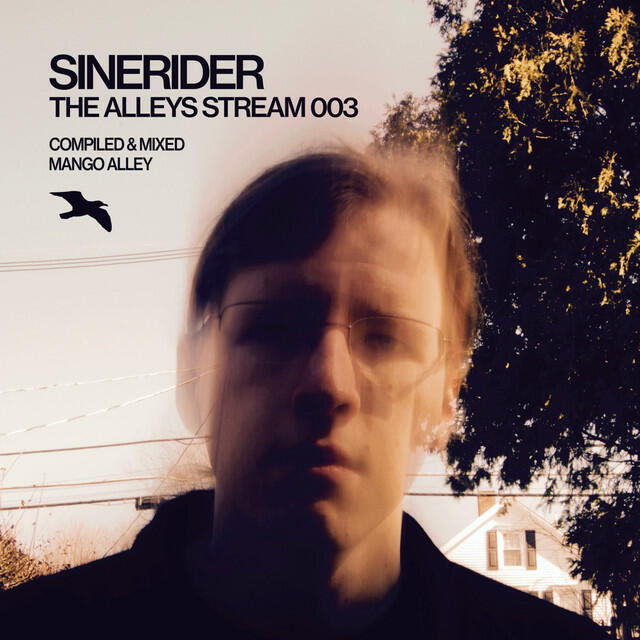 Релиз THE ALLEYS Stream 003 / SineRider (DJ Mix)