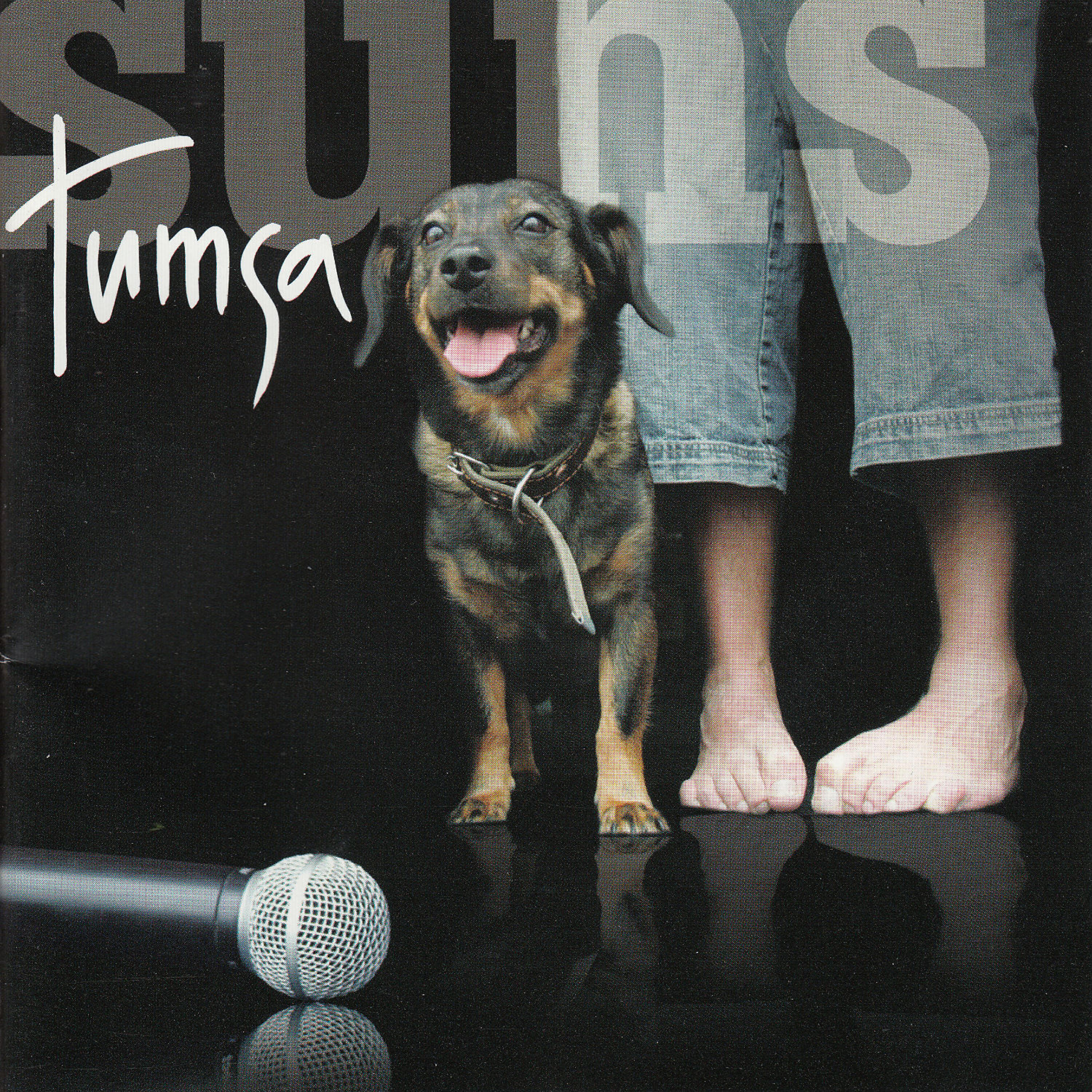 Релиз Suns