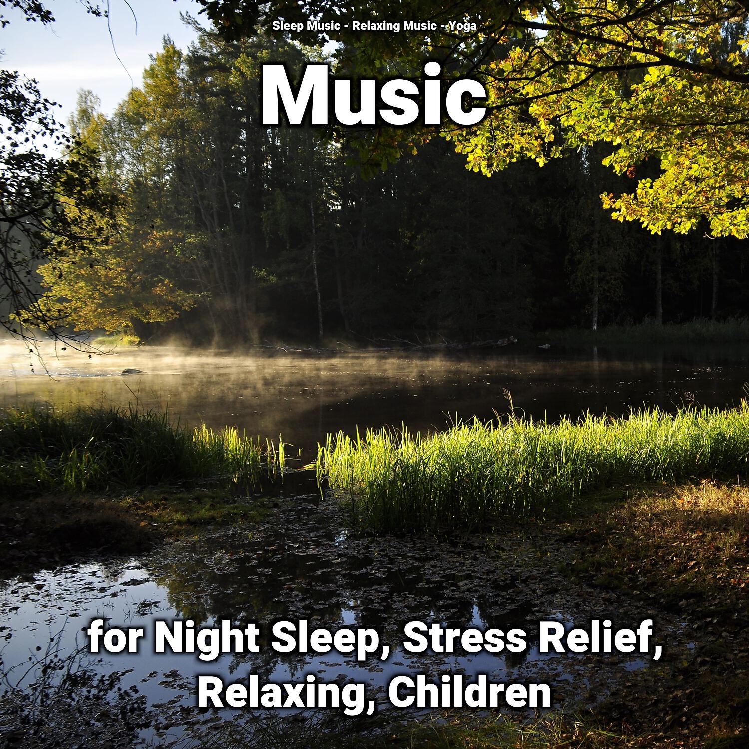 Постер альбома Music for Night Sleep, Stress Relief, Relaxing, Children