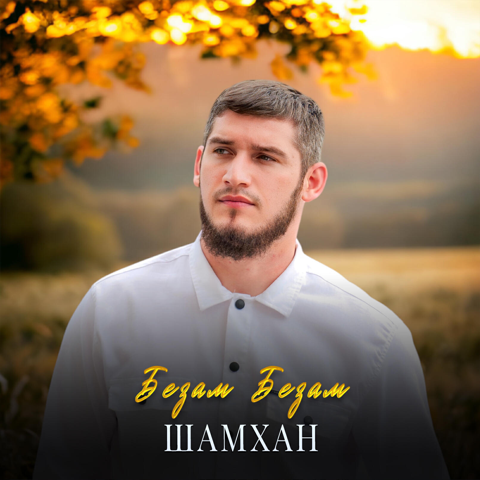 Релиз Безам Безам
