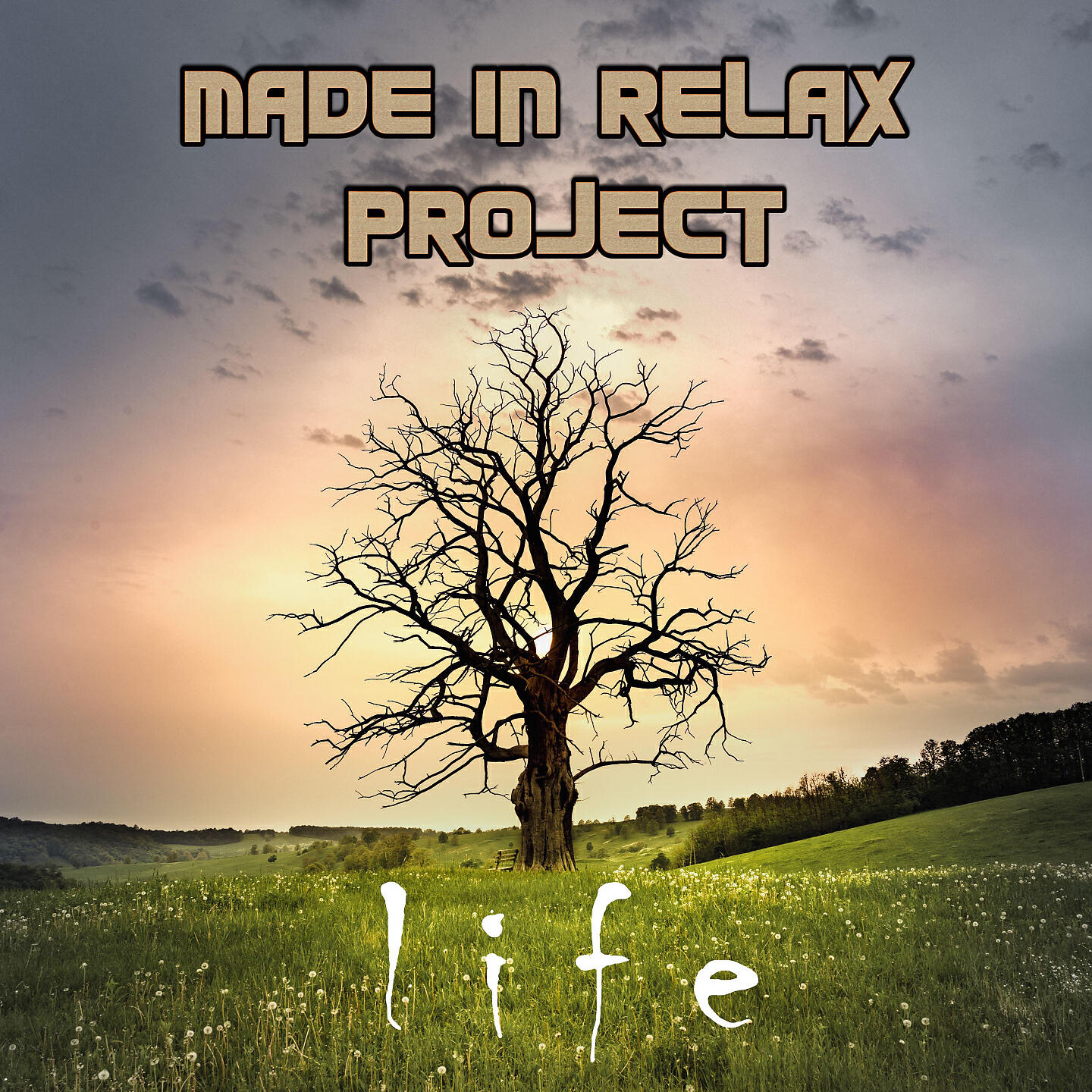 Релиз Life