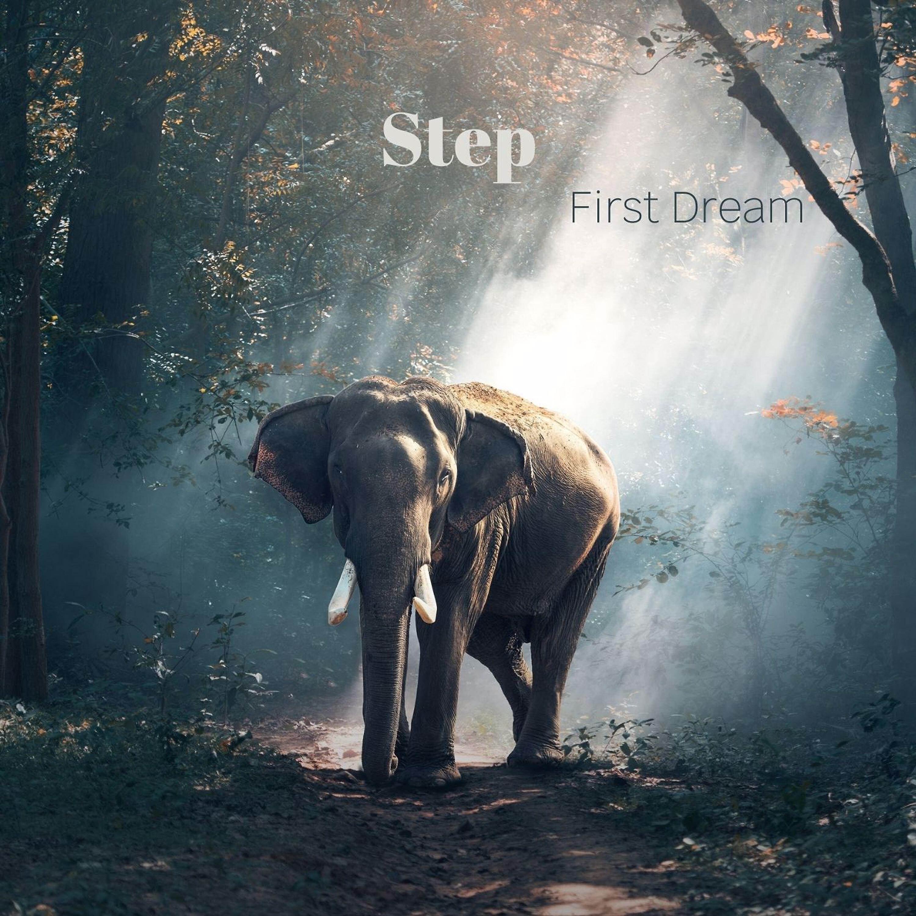 Релиз Step