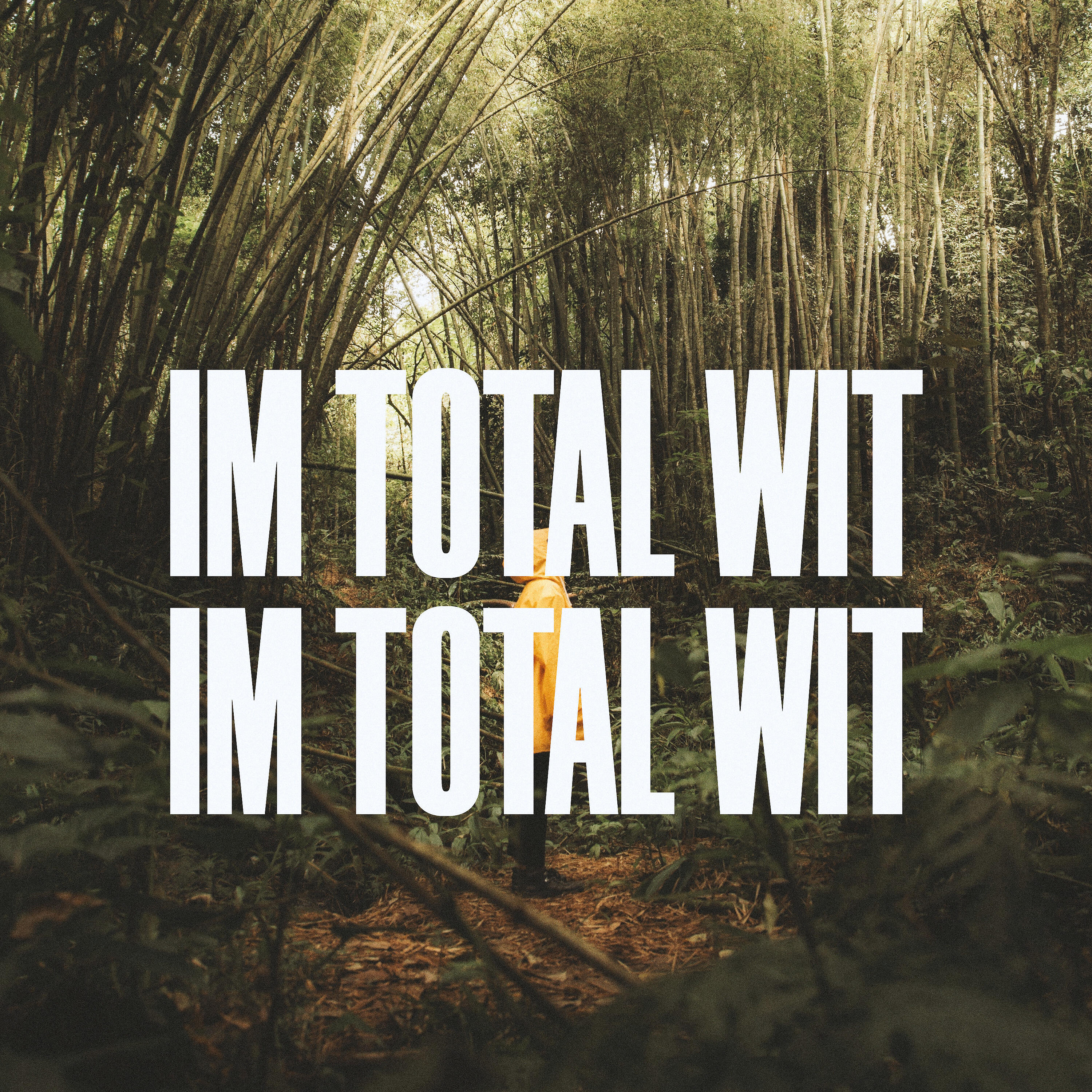 Скачать песню 7scally - In Total Wit бесплатно в MP3 для Android и iOS