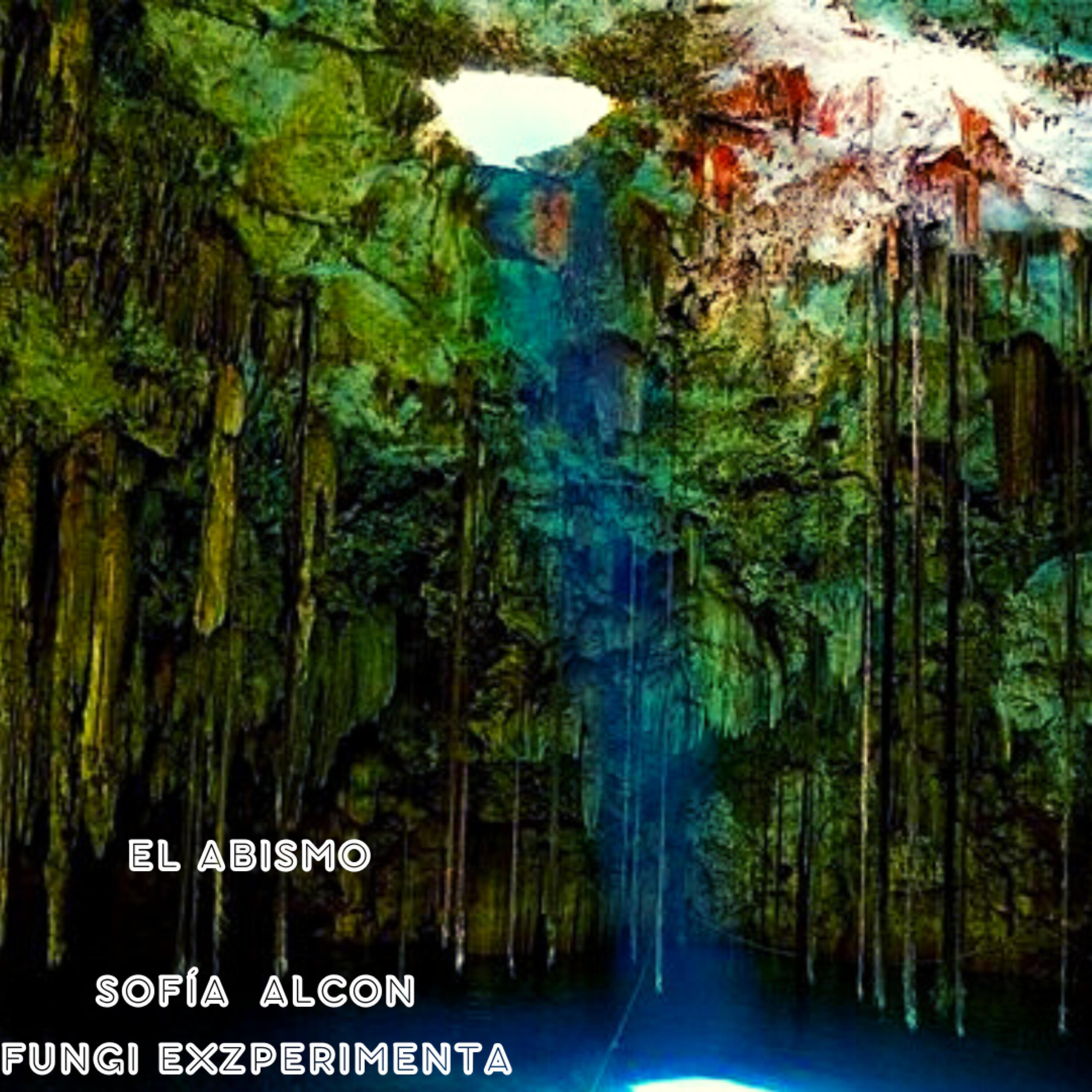 Fungi Exzperimenta
