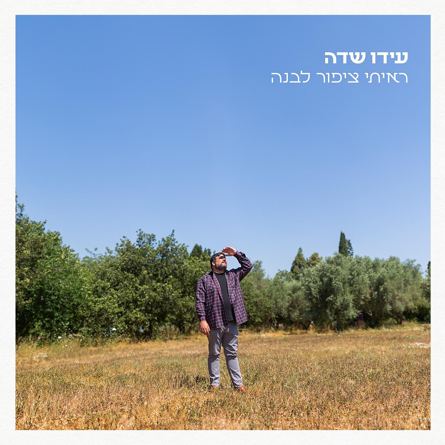 Релиз ראיתי ציפור לבנה