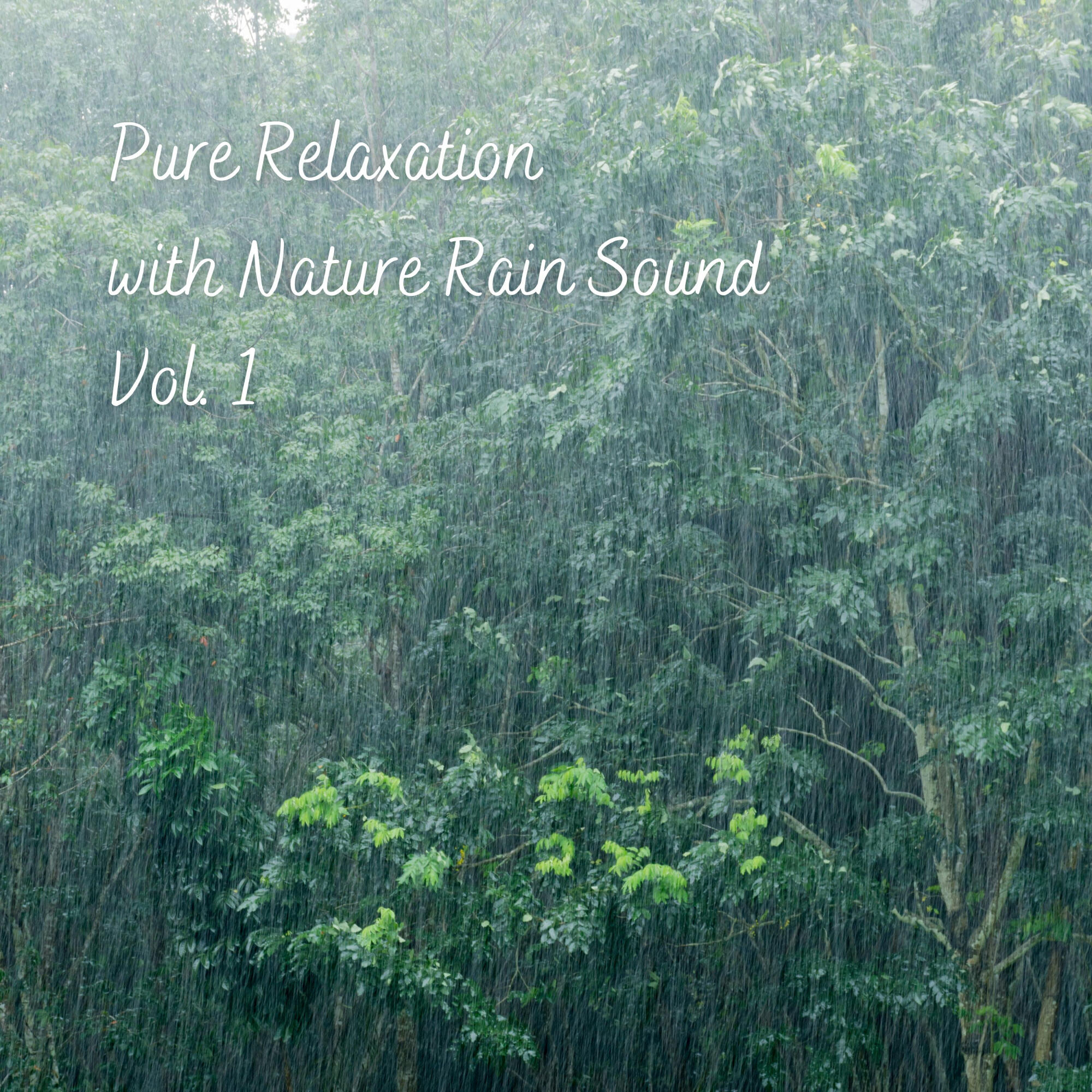 Релиз Pure Relaxation with Nature Rain Sound Vol. 1