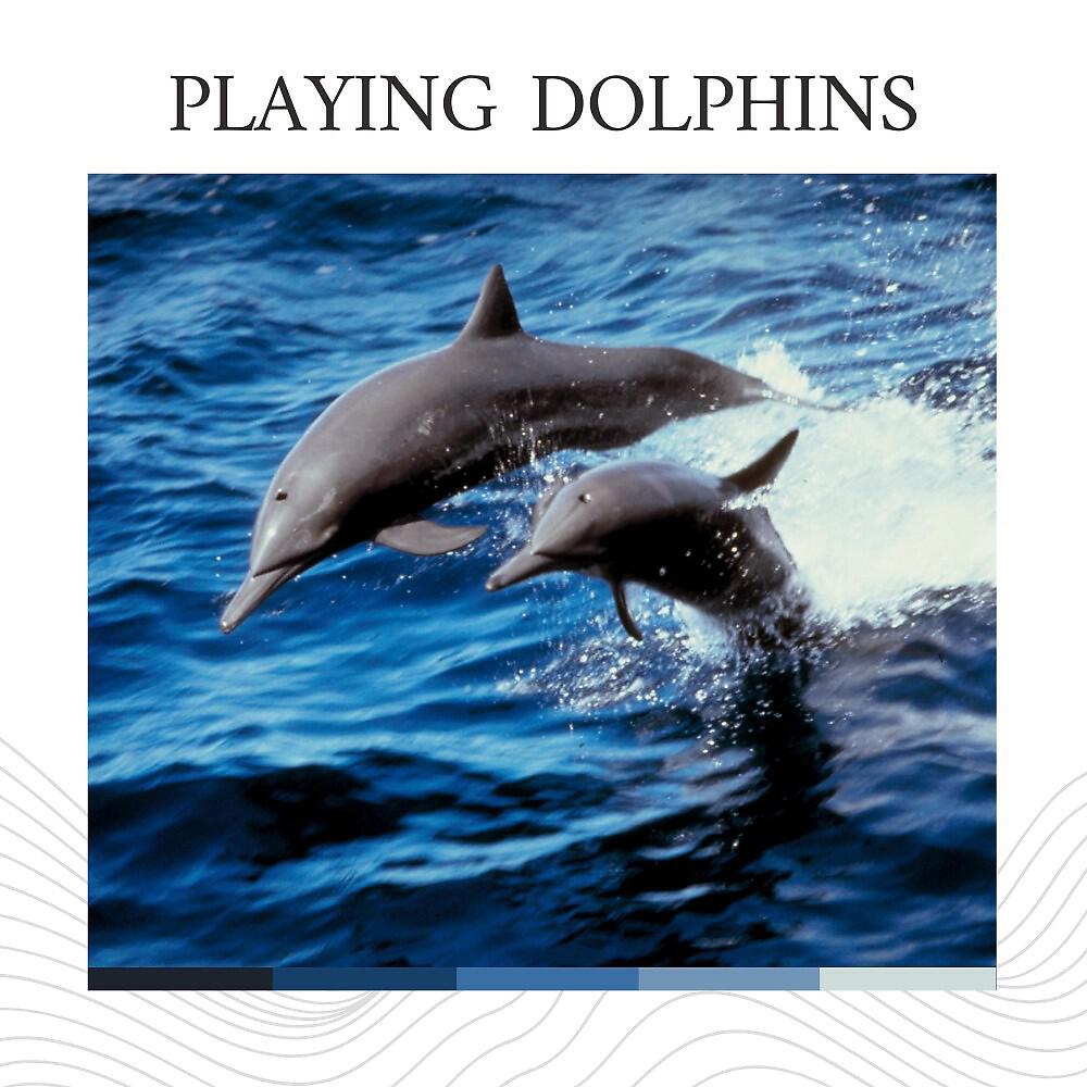 Релиз Playing Dolphins