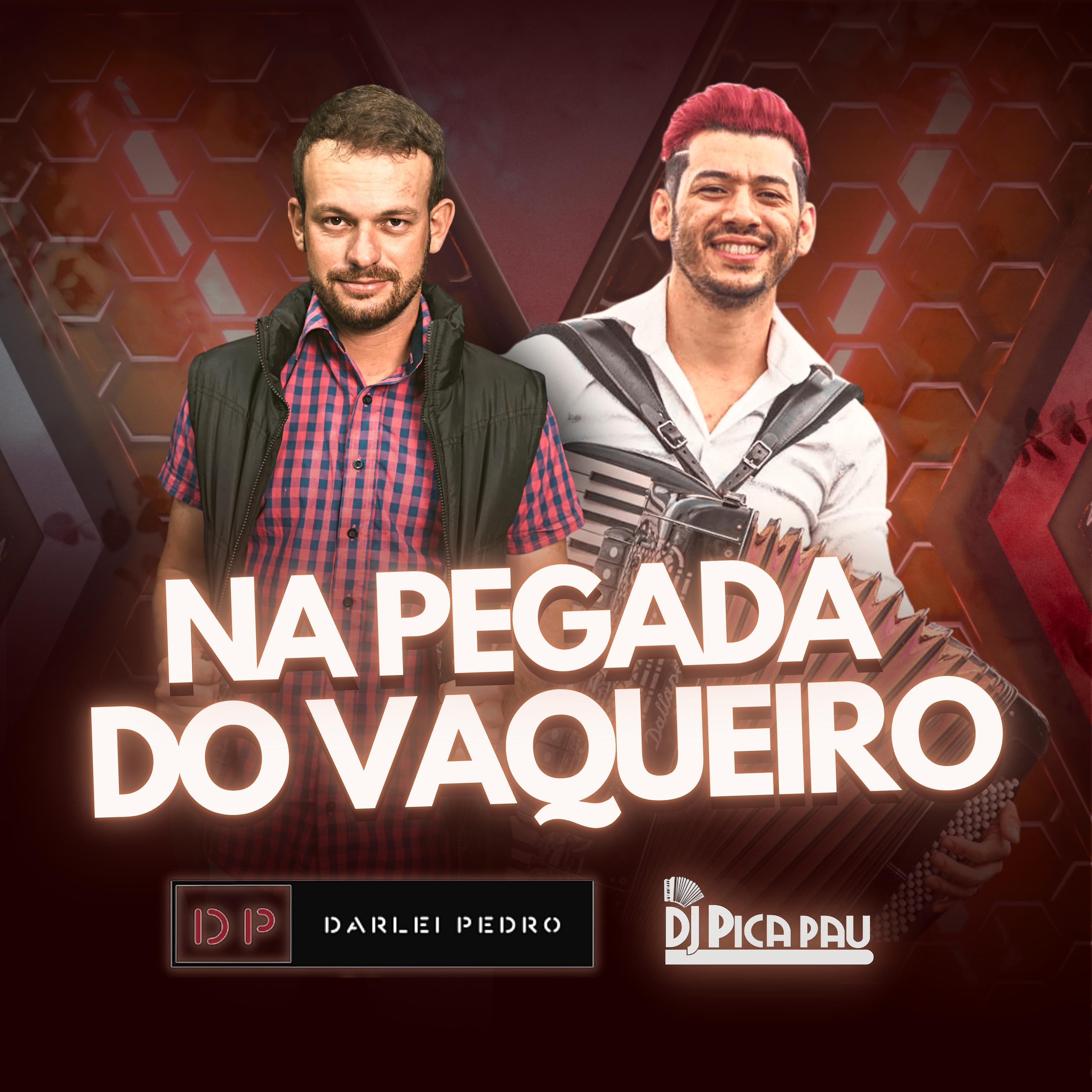 Релиз Na pegada do vaqueiro