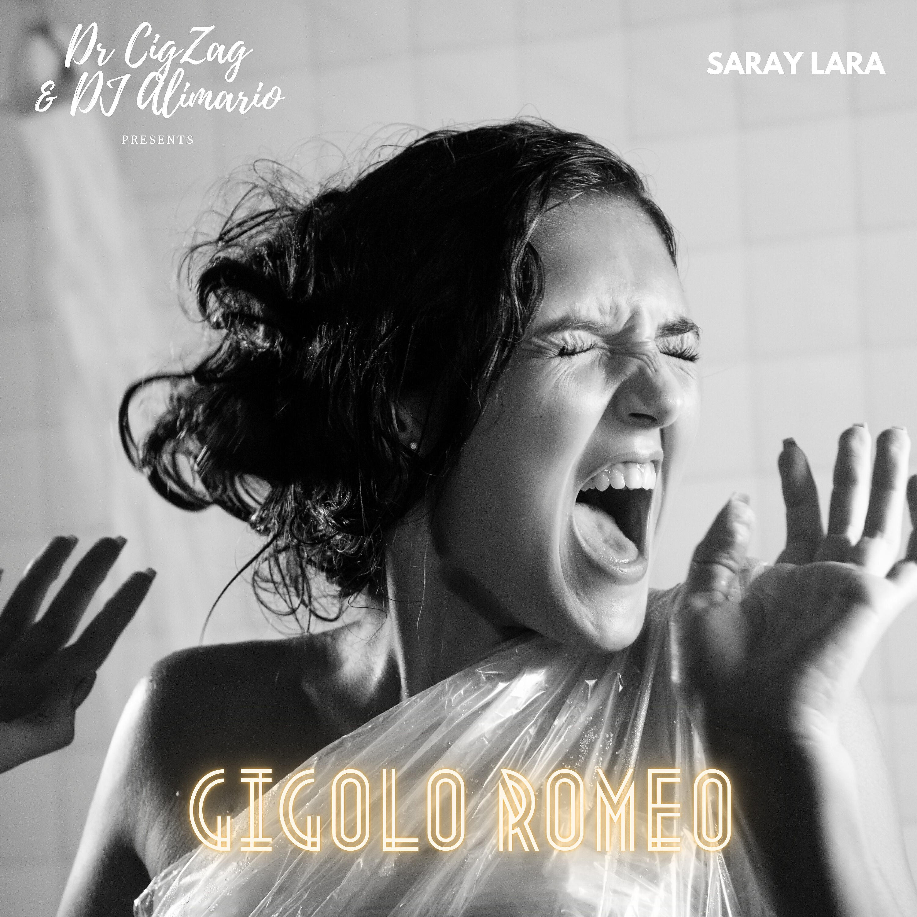 Трек Gigolo Romeo (Dr Cigzag & DJ Alimario Presents Saray Lara)