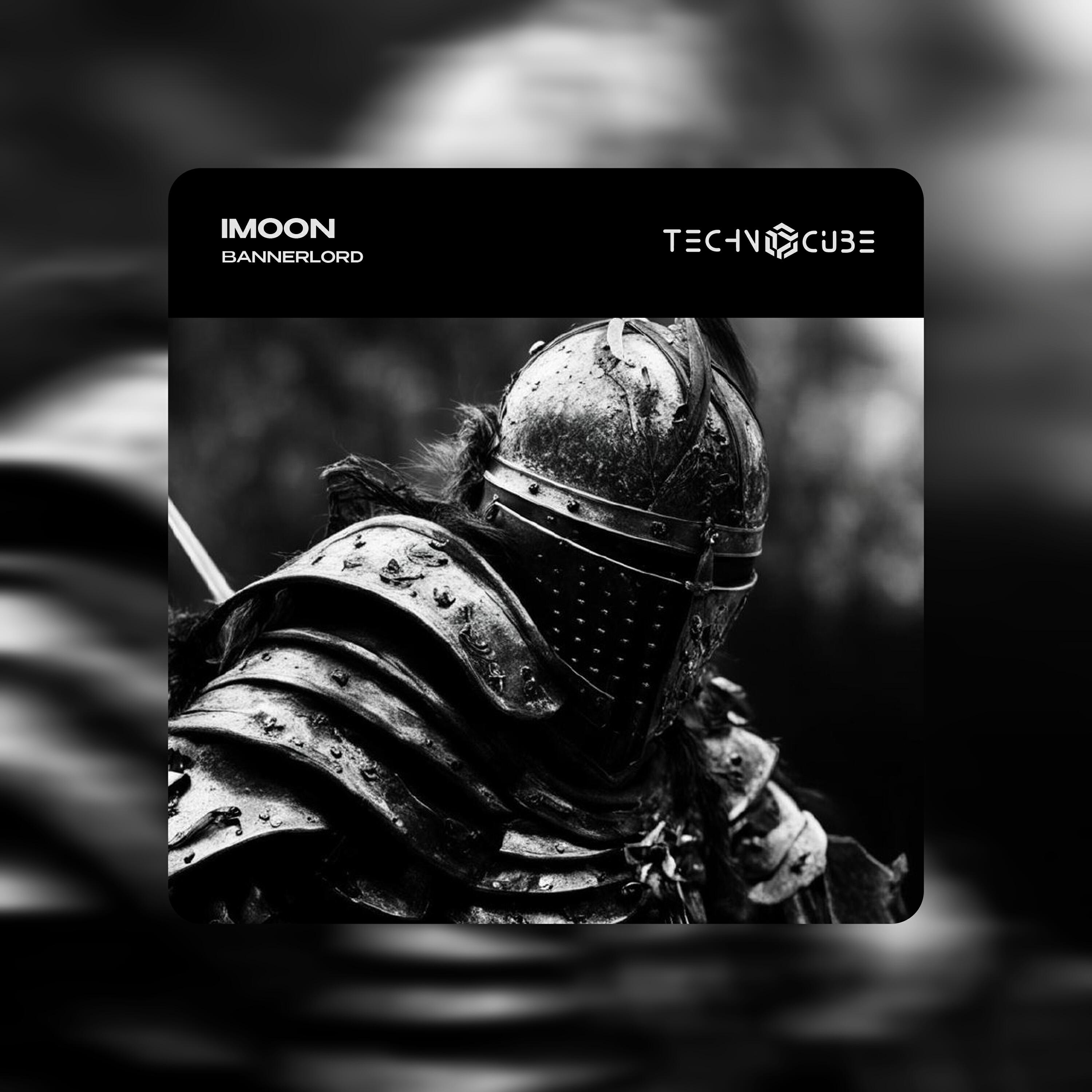 Постер альбома Bannerlord