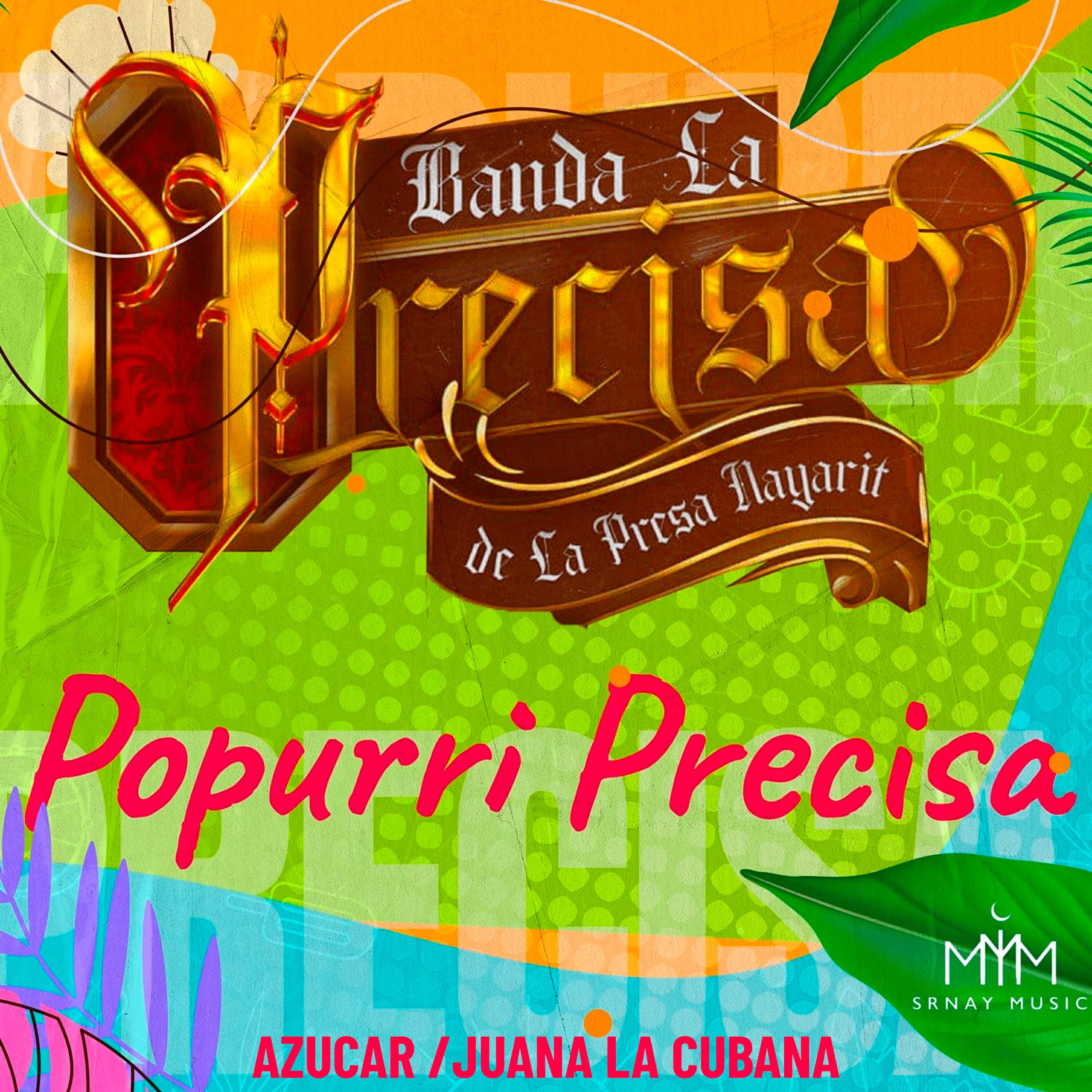 Banda La Precisa De La Presa Nayarit