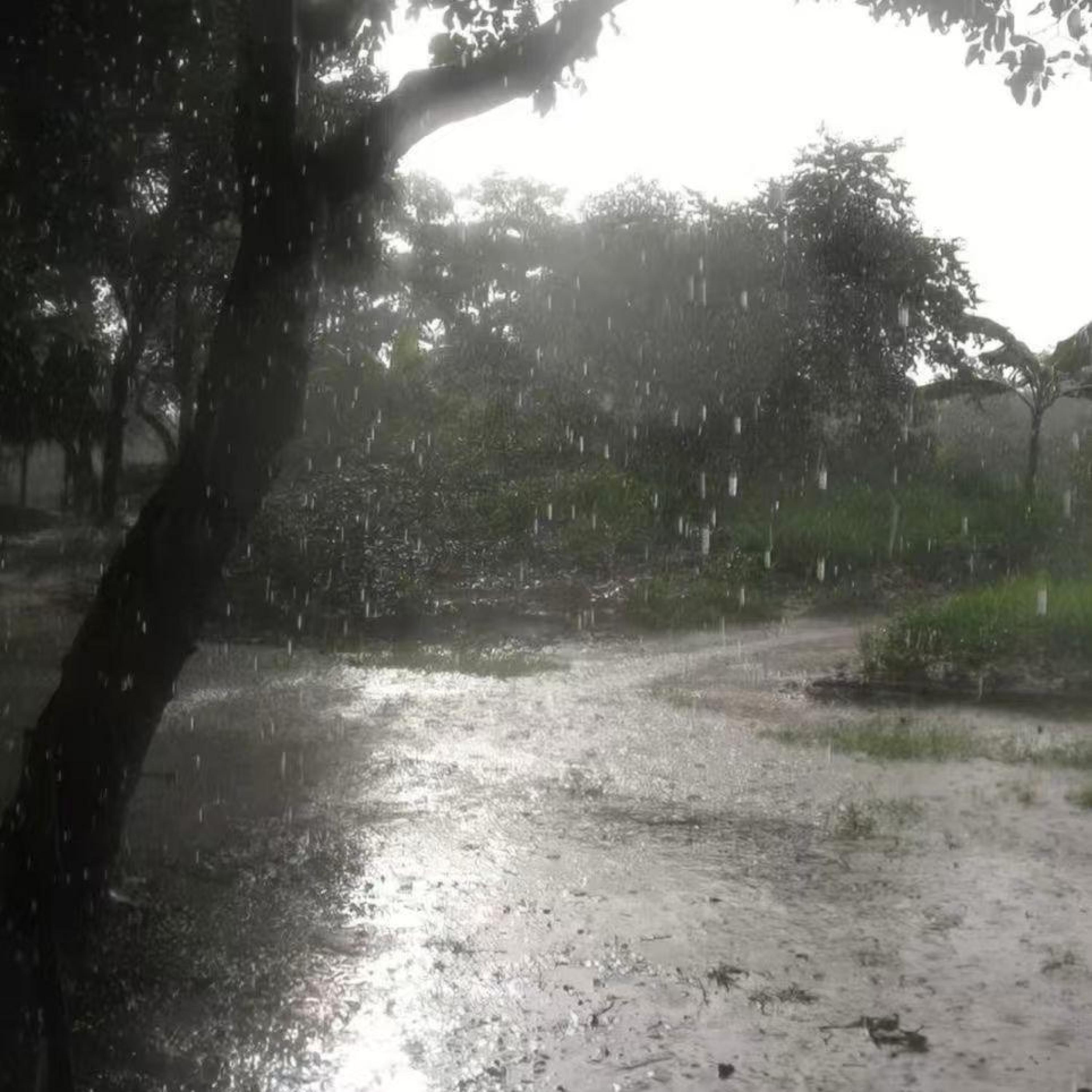 Релиз 夏日终章