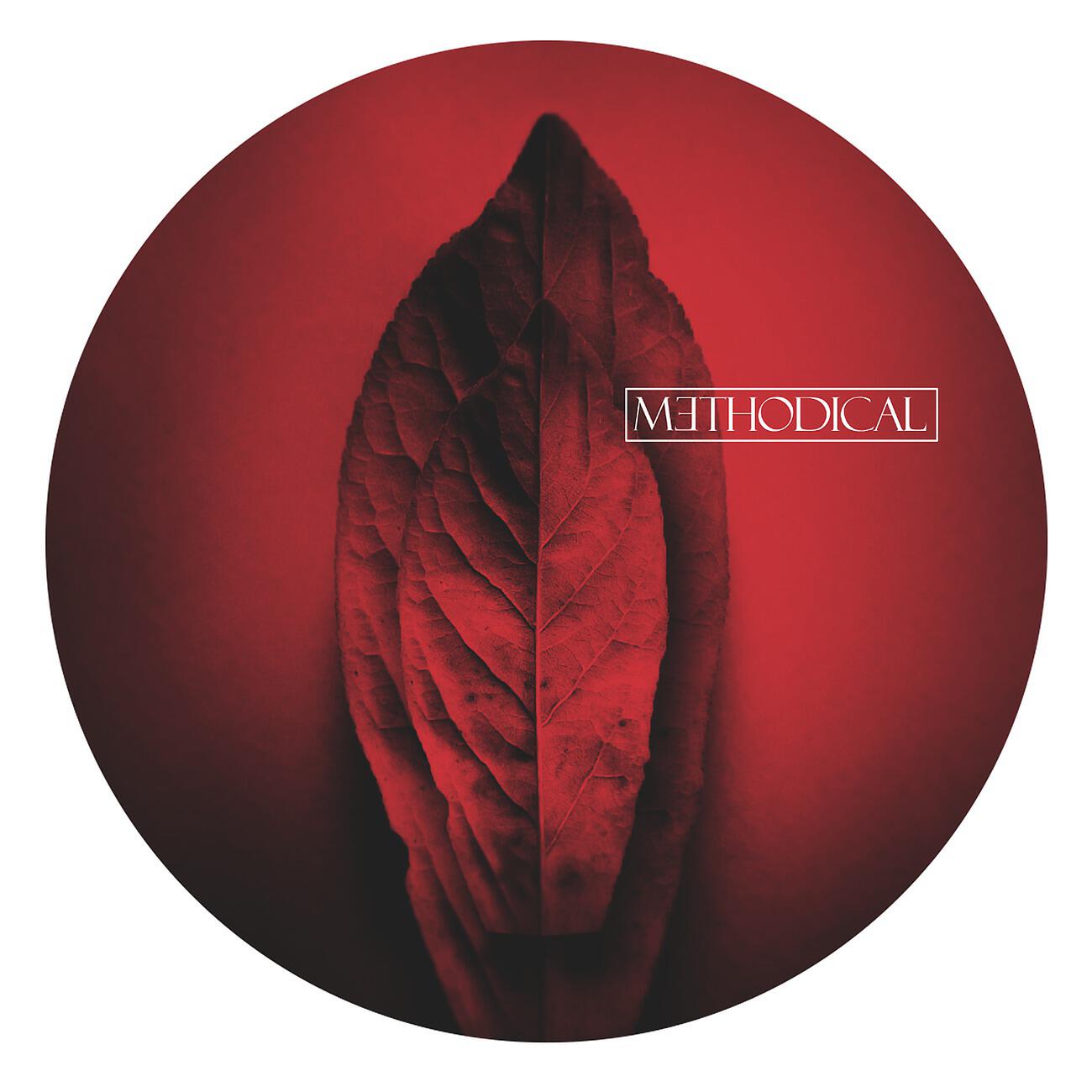 Релиз METHODICAL 0002