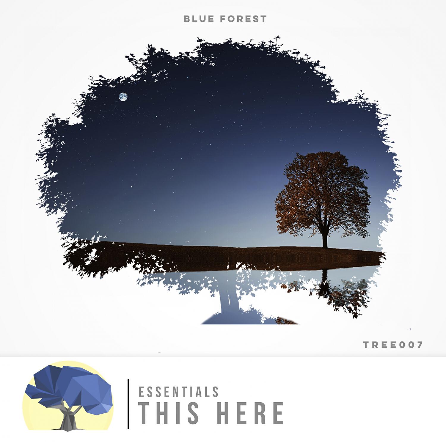 Релиз This Here