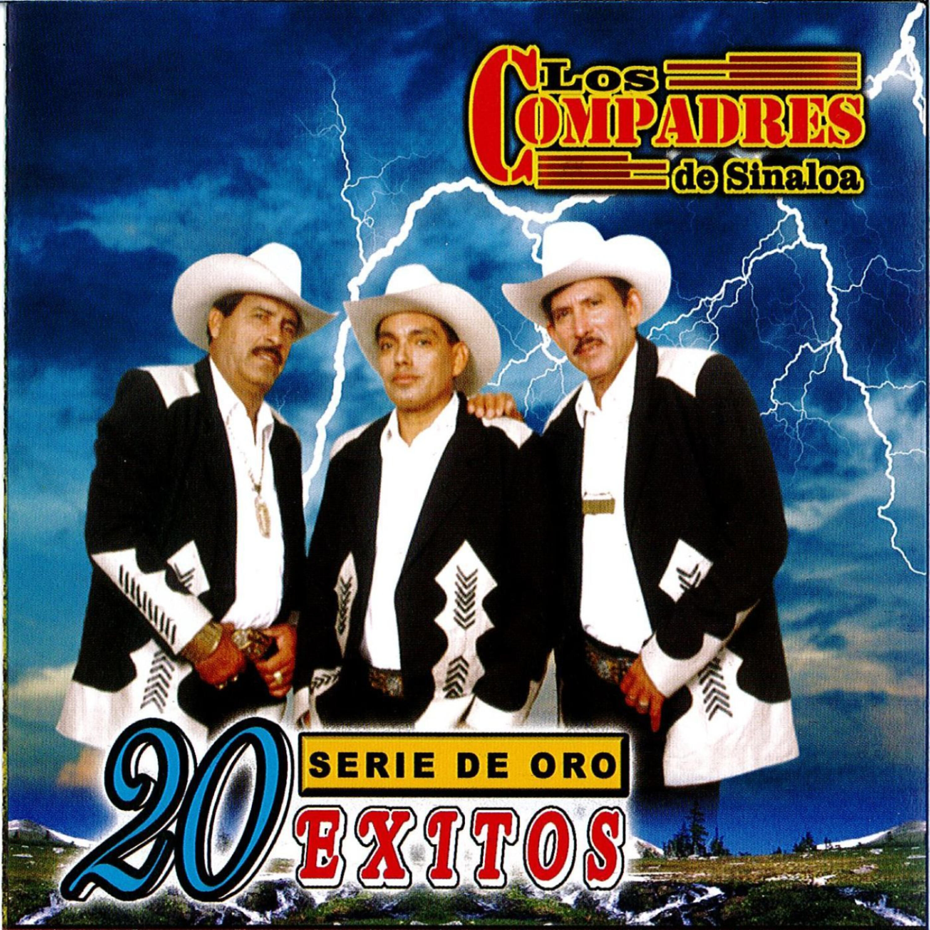 Релиз 20 Exitos Serie De Oro