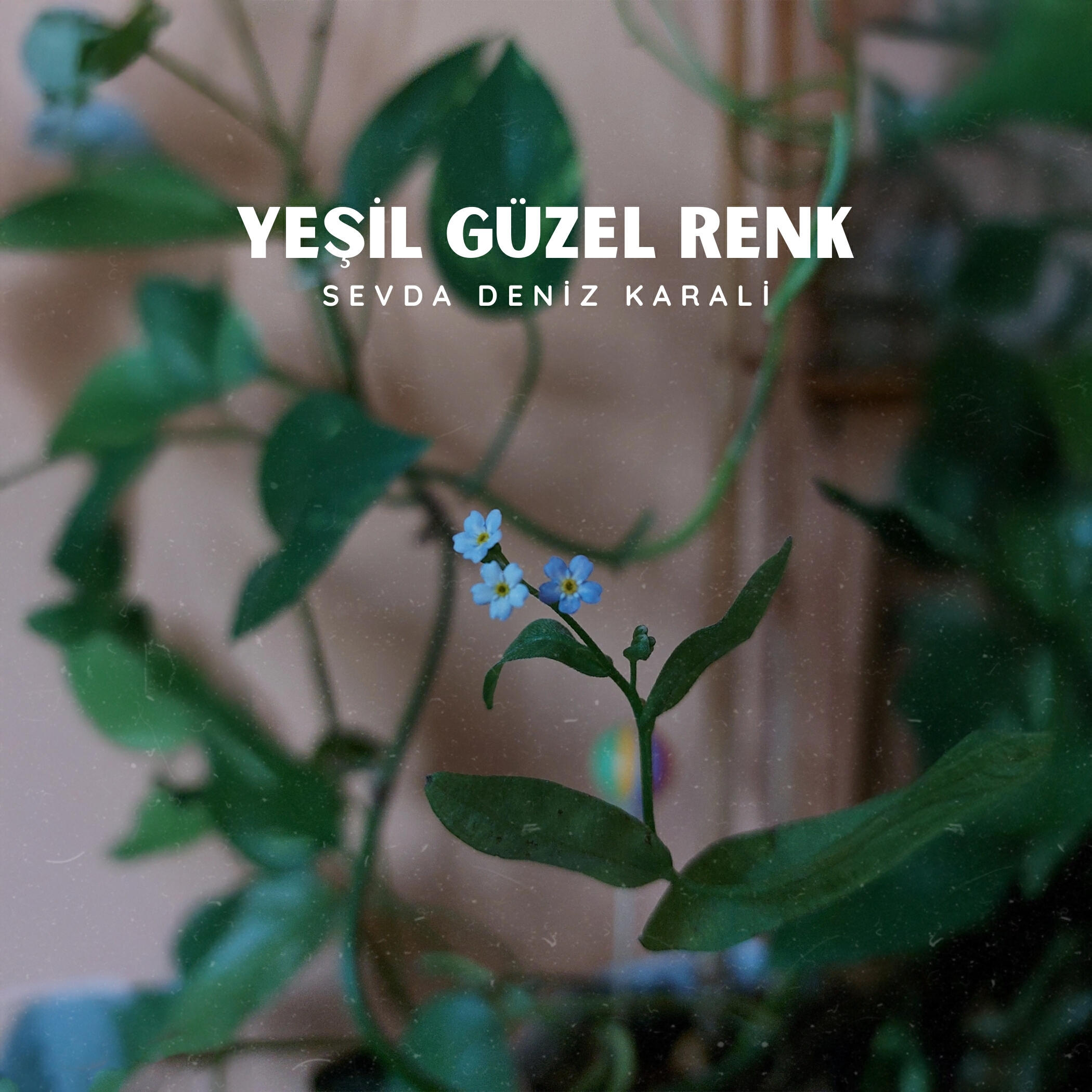 Релиз Yeşil Güzel Renk
