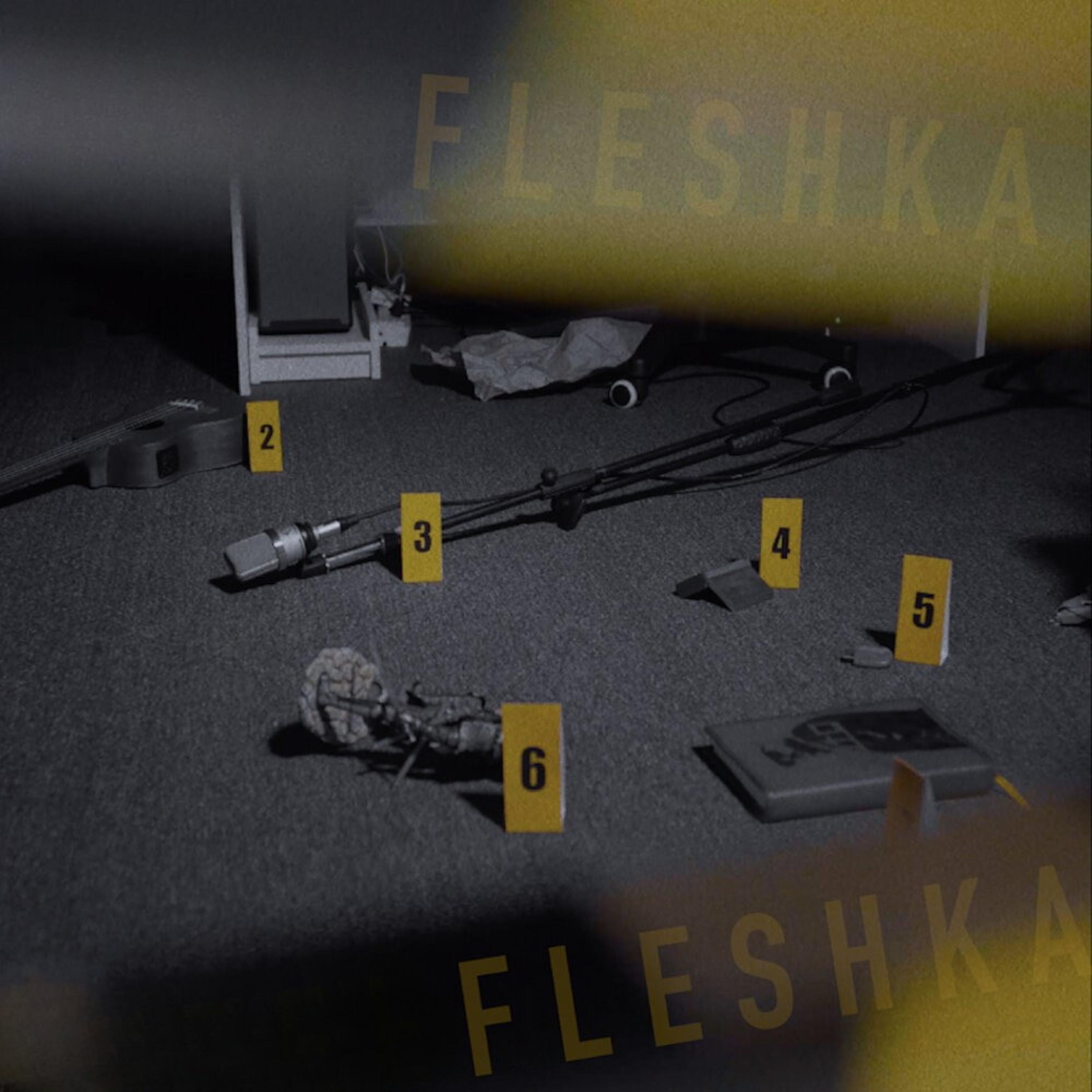 Релиз Fleshka